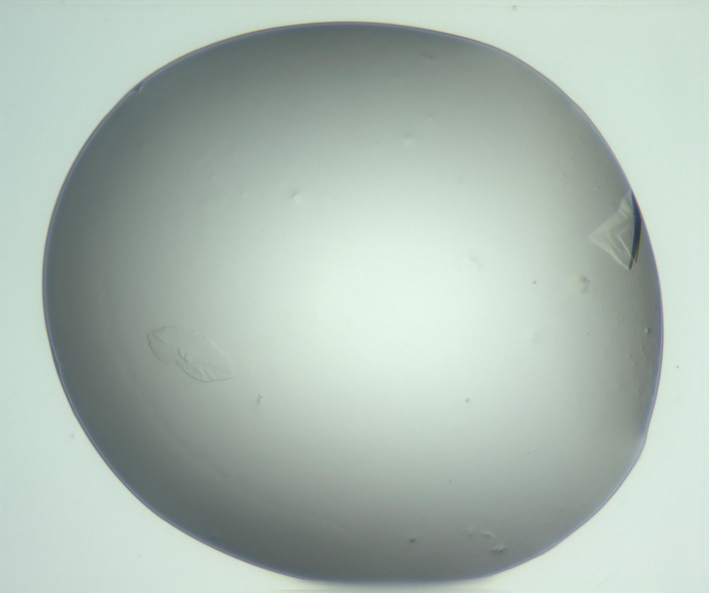 RI01_03_000_0212_Proj1_Clon1_MC_0000MC103074_002_161127_04_02_01_00_99_002_001_RAI.jpg