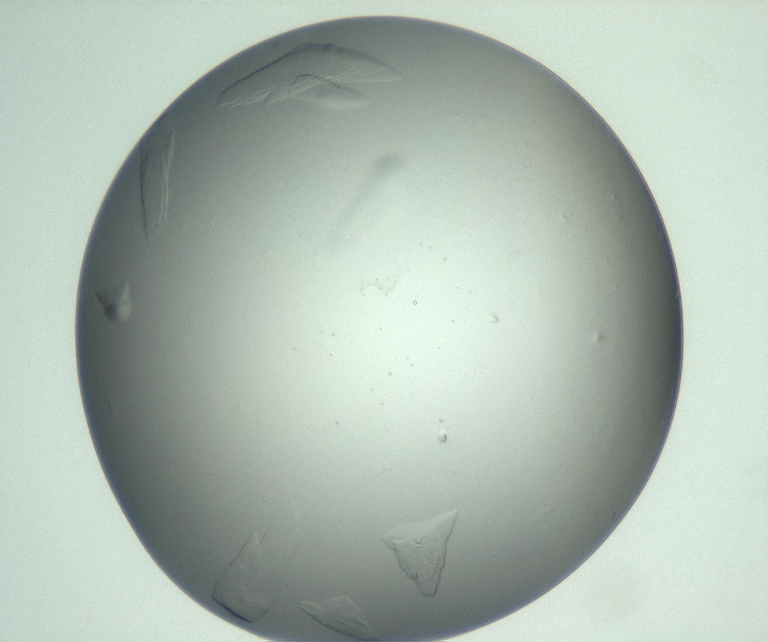RI01_03_000_0212_Proj1_Clon1_MC_0000MC103074_002_161127_10_03_01_00_99_002_001_RAI.jpg