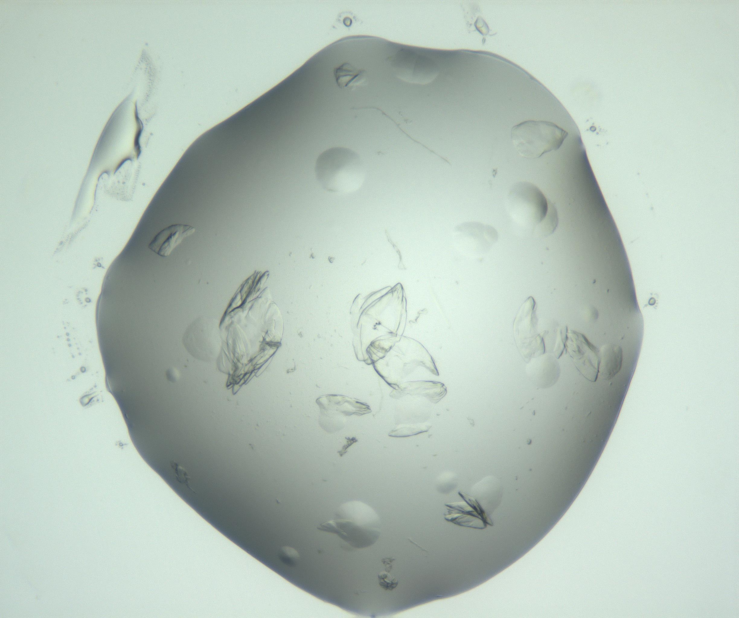 RI01_03_000_0212_Proj1_Clon1_MC_0000MC103074_002_161127_12_07_02_00_99_002_001_RAI.jpg