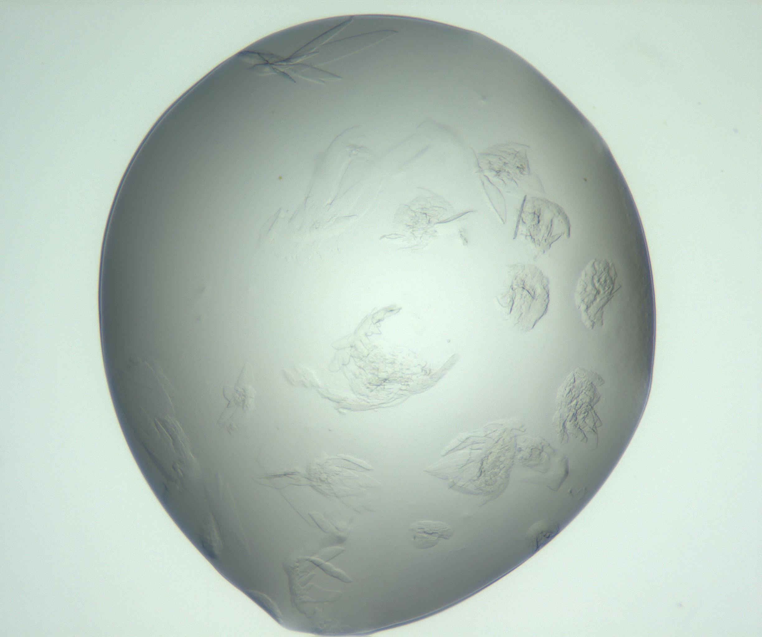 RI01_03_000_0212_Proj1_Clon1_MC_0000MC103074_003_161129_03_05_01_00_99_002_001_RAI.jpg
