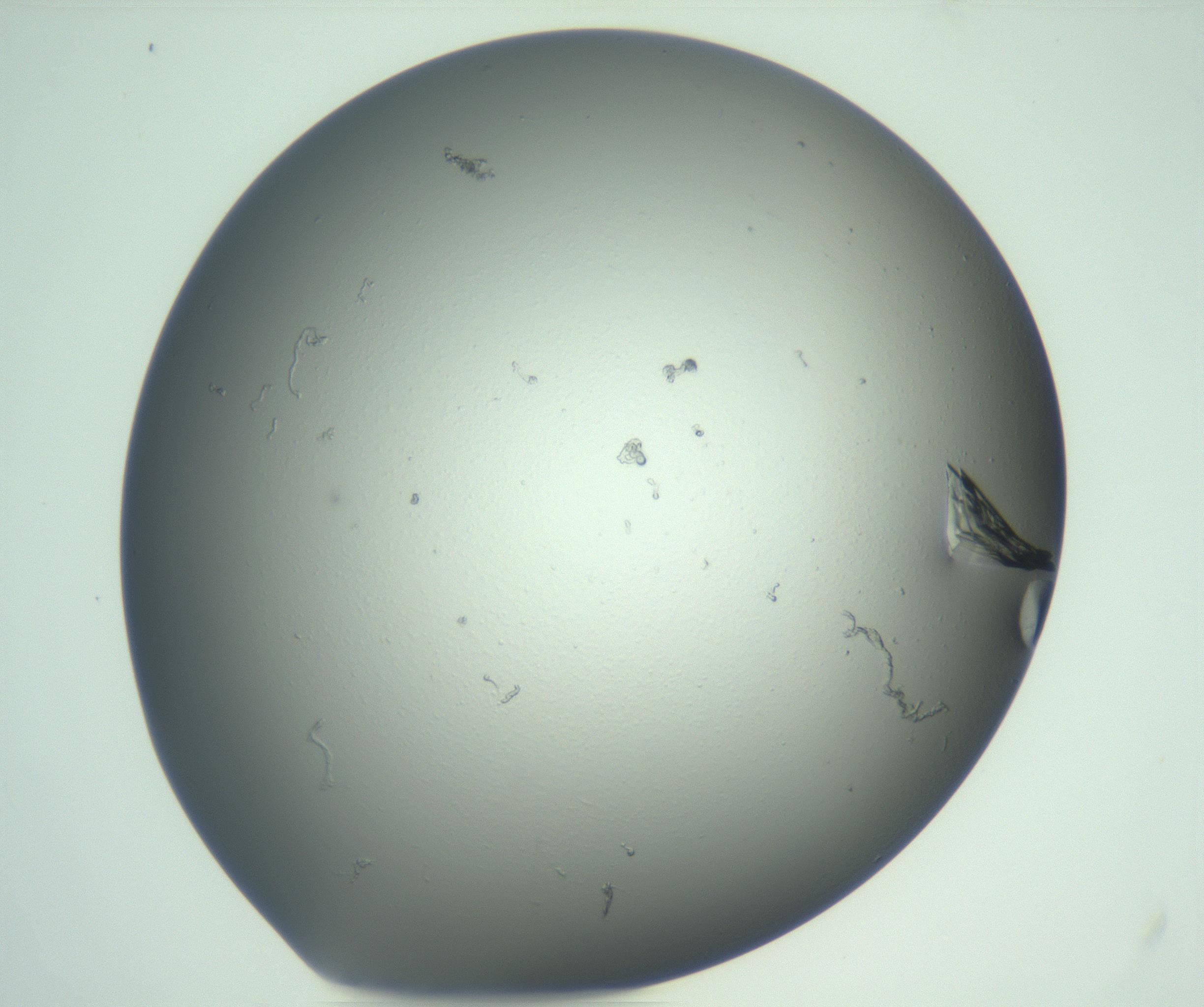 RI01_03_000_0212_Proj1_Clon1_MC_0000MC103074_003_161129_12_03_01_00_99_002_001_RAI.jpg