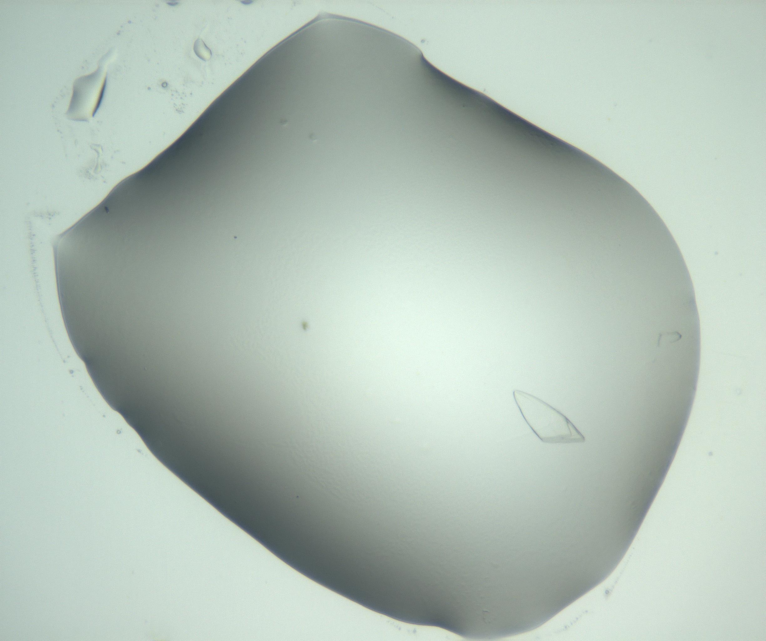 RI01_03_000_0212_Proj1_Clon1_MC_0000MC103075_002_161128_02_01_02_00_99_002_001_RAI.jpg