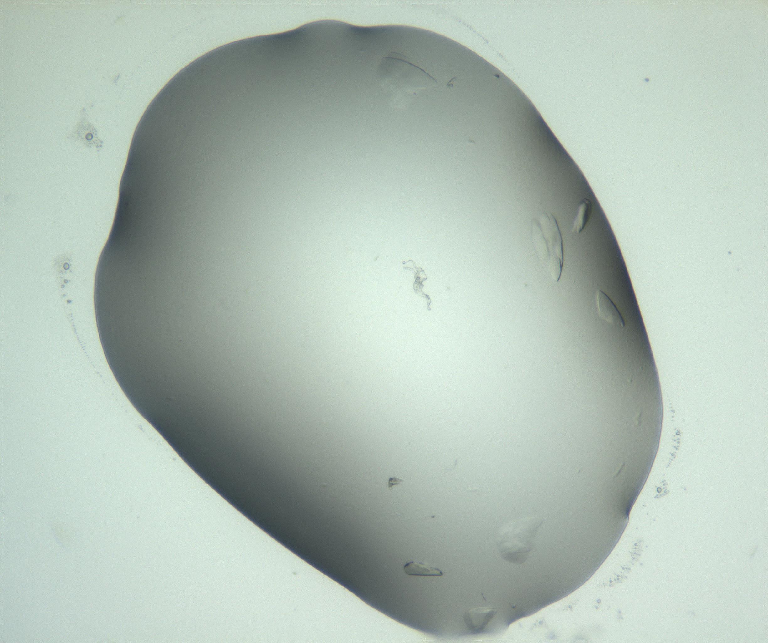 RI01_03_000_0212_Proj1_Clon1_MC_0000MC103075_002_161128_02_04_02_00_99_002_001_RAI.jpg