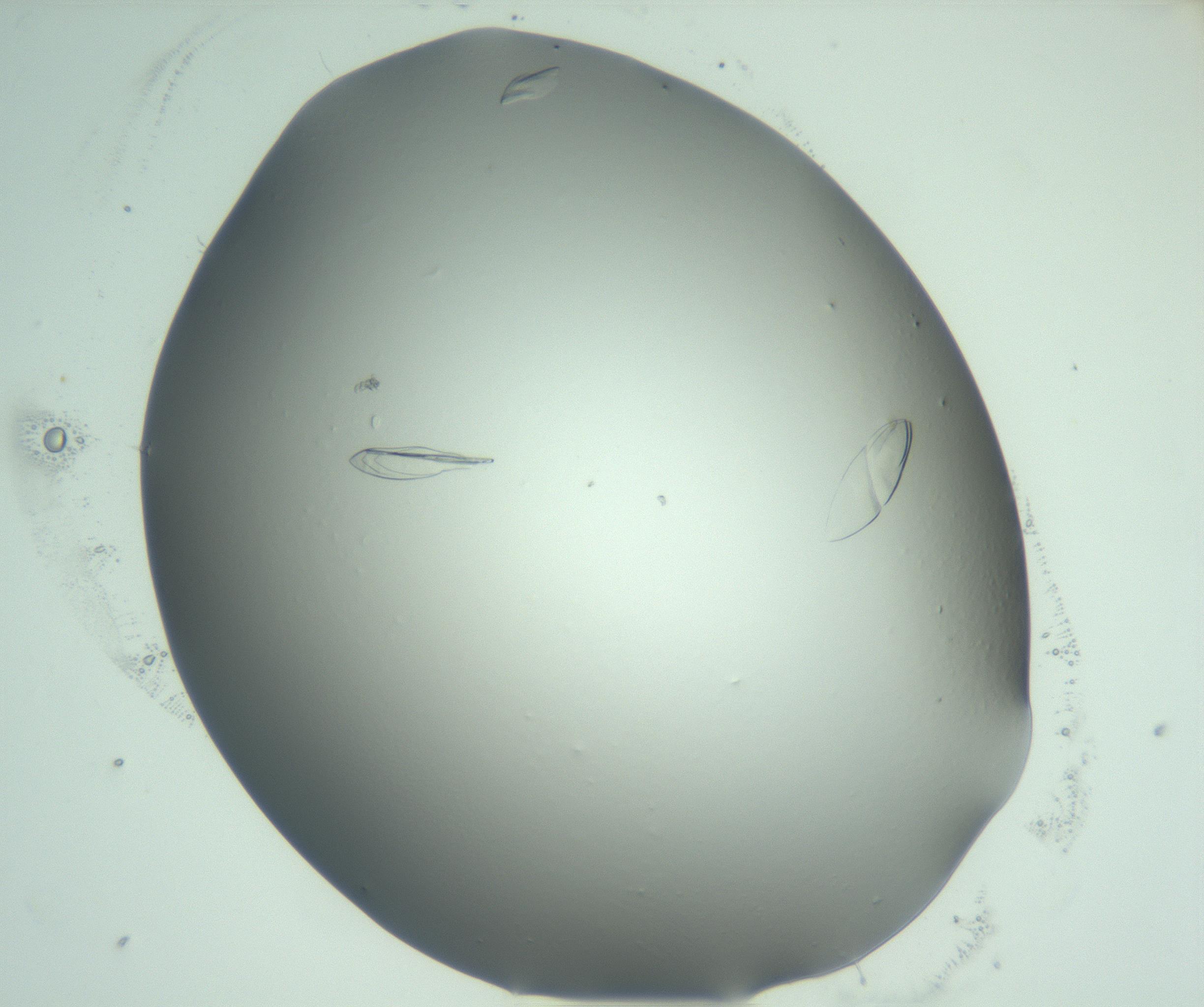 RI01_03_000_0212_Proj1_Clon1_MC_0000MC103075_002_161128_05_04_02_00_99_002_001_RAI.jpg
