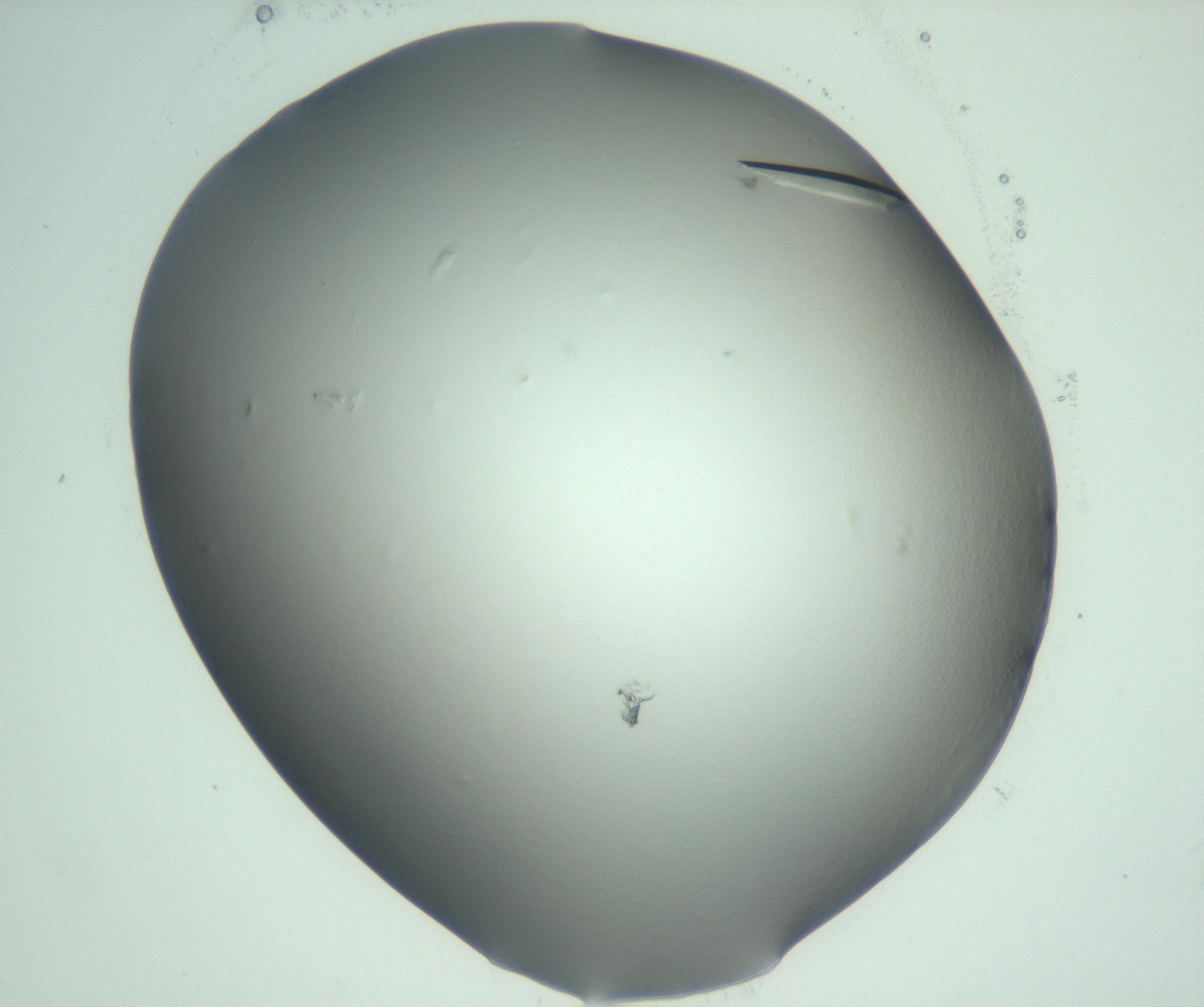 RI01_03_000_0212_Proj1_Clon1_MC_0000MC103075_002_161128_10_04_02_00_99_002_001_RAI.jpg