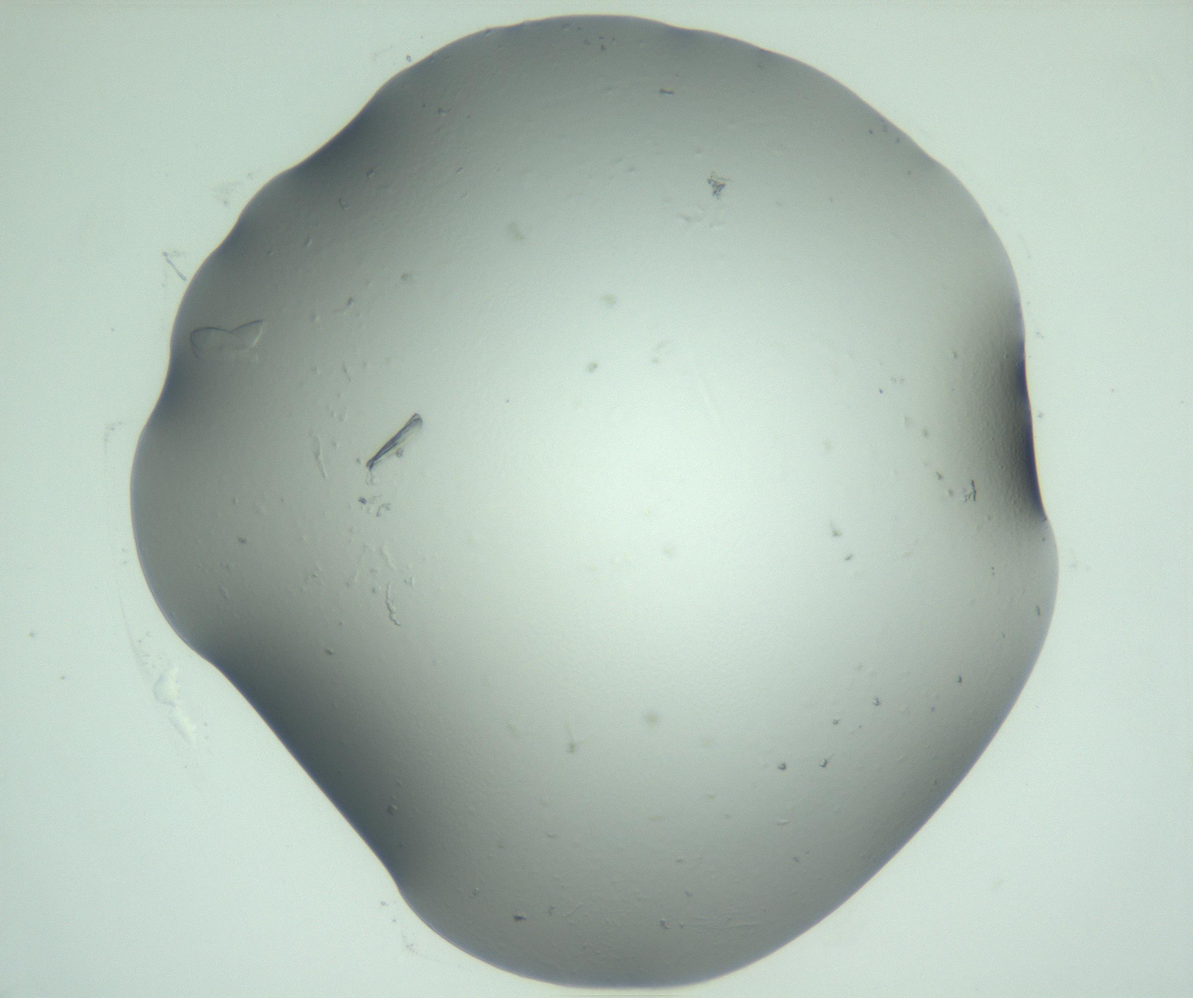 RI01_03_000_0212_Proj1_Clon1_MC_0000MC103075_002_161128_12_07_02_00_99_002_001_RAI.jpg
