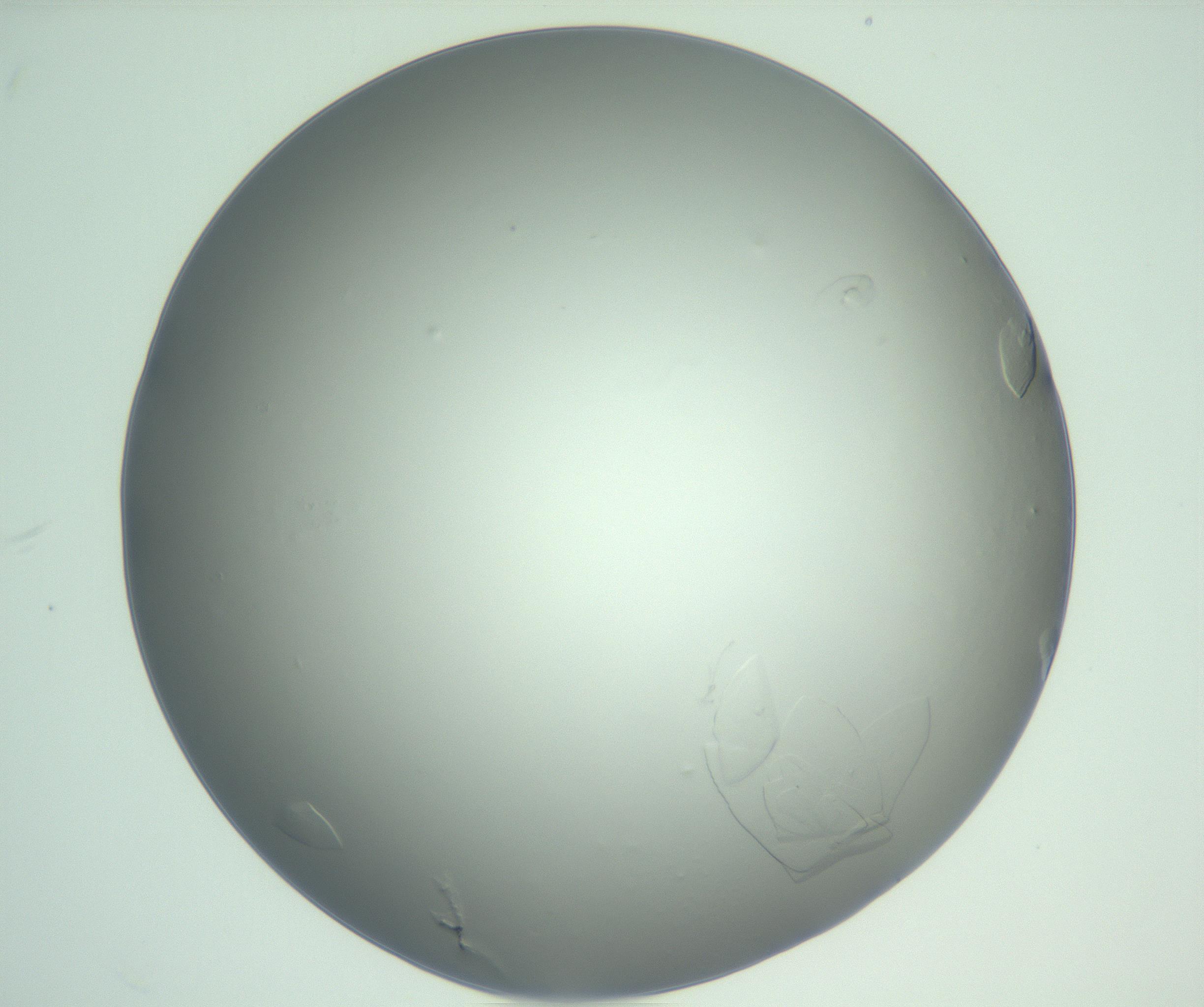 RI01_03_000_0212_Proj1_Clon1_MC_0000MC103075_003_161128_01_03_01_00_99_002_001_RAI.jpg