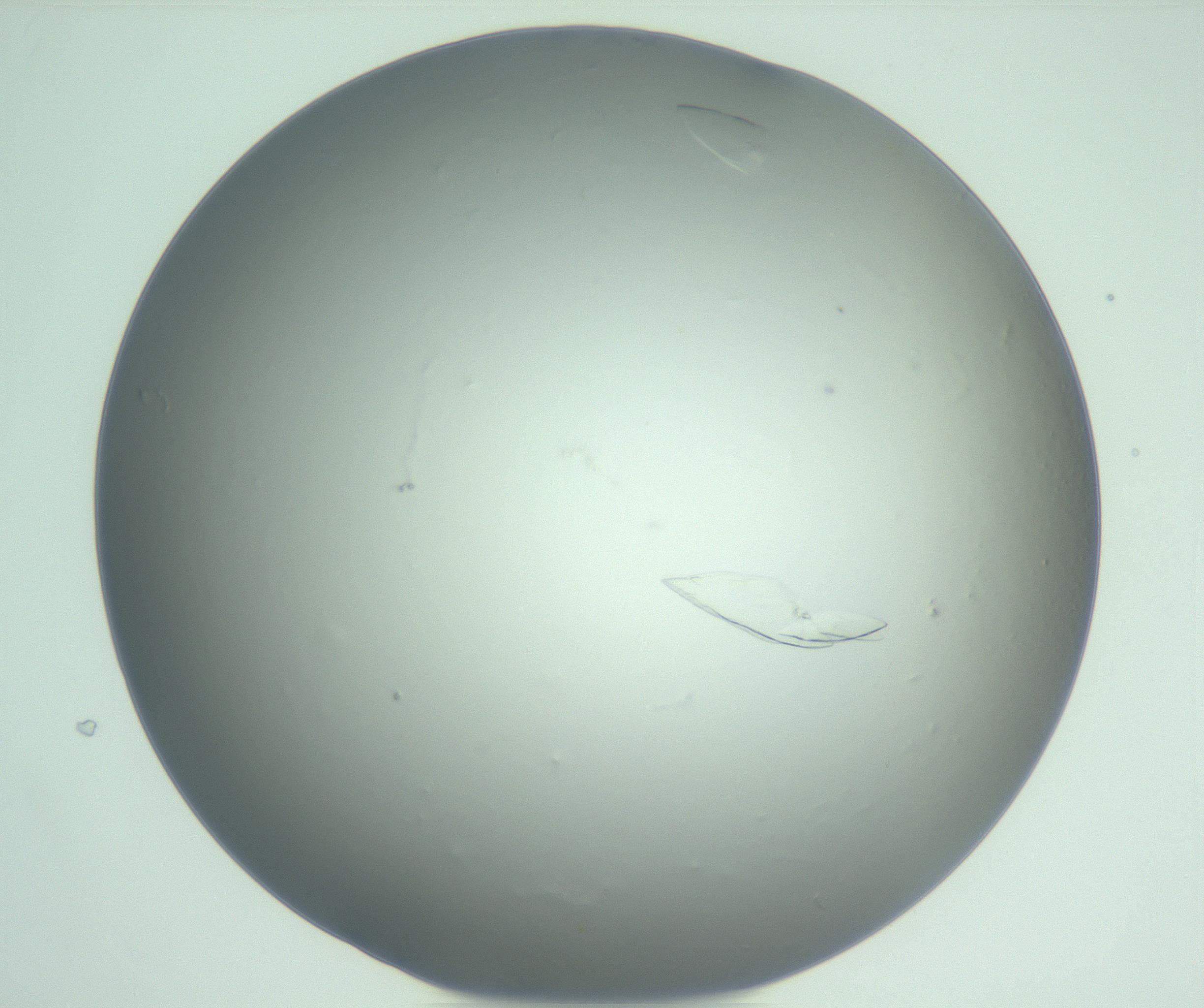 RI01_03_000_0212_Proj1_Clon1_MC_0000MC103075_003_161128_01_06_01_00_99_002_001_RAI.jpg