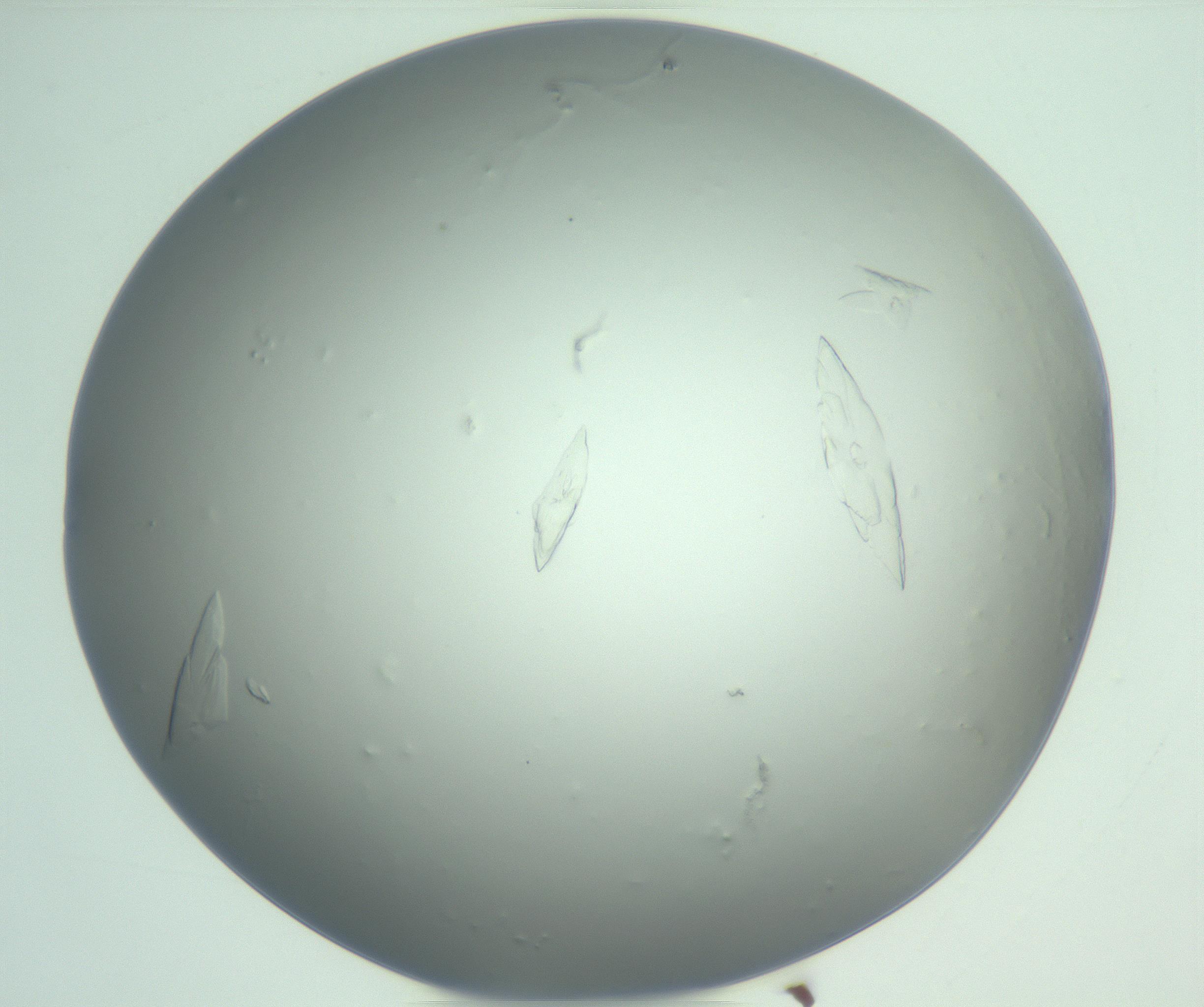 RI01_03_000_0212_Proj1_Clon1_MC_0000MC103075_003_161128_03_08_01_00_99_002_001_RAI.jpg
