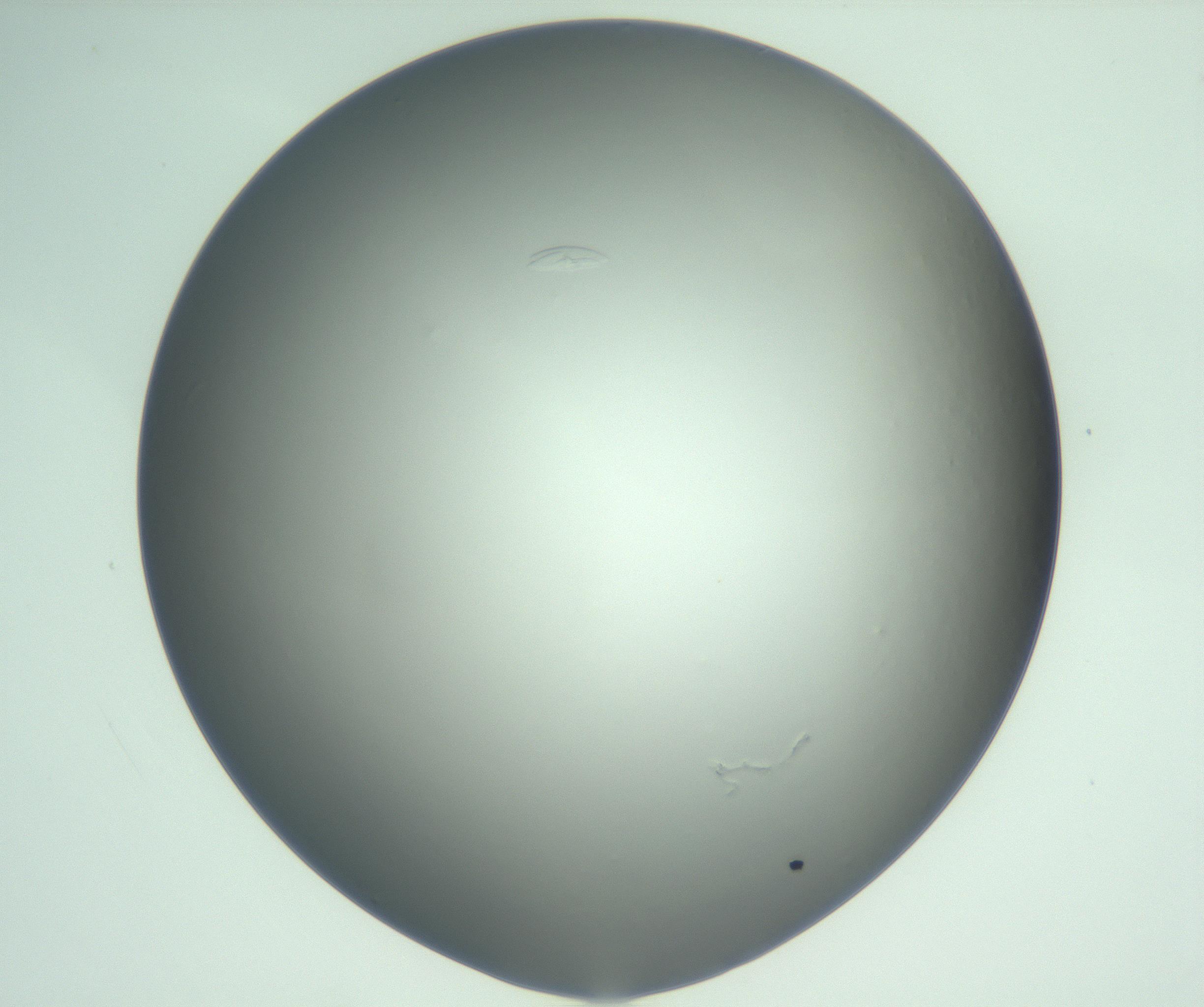 RI01_03_000_0212_Proj1_Clon1_MC_0000MC103075_003_161128_04_03_01_00_99_002_001_RAI.jpg