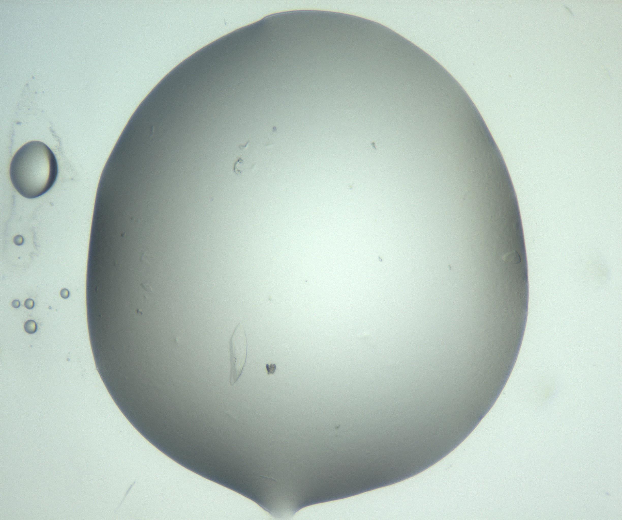RI01_03_000_0212_Proj1_Clon1_MC_0000MC103075_003_161128_08_05_02_00_99_002_001_RAI.jpg