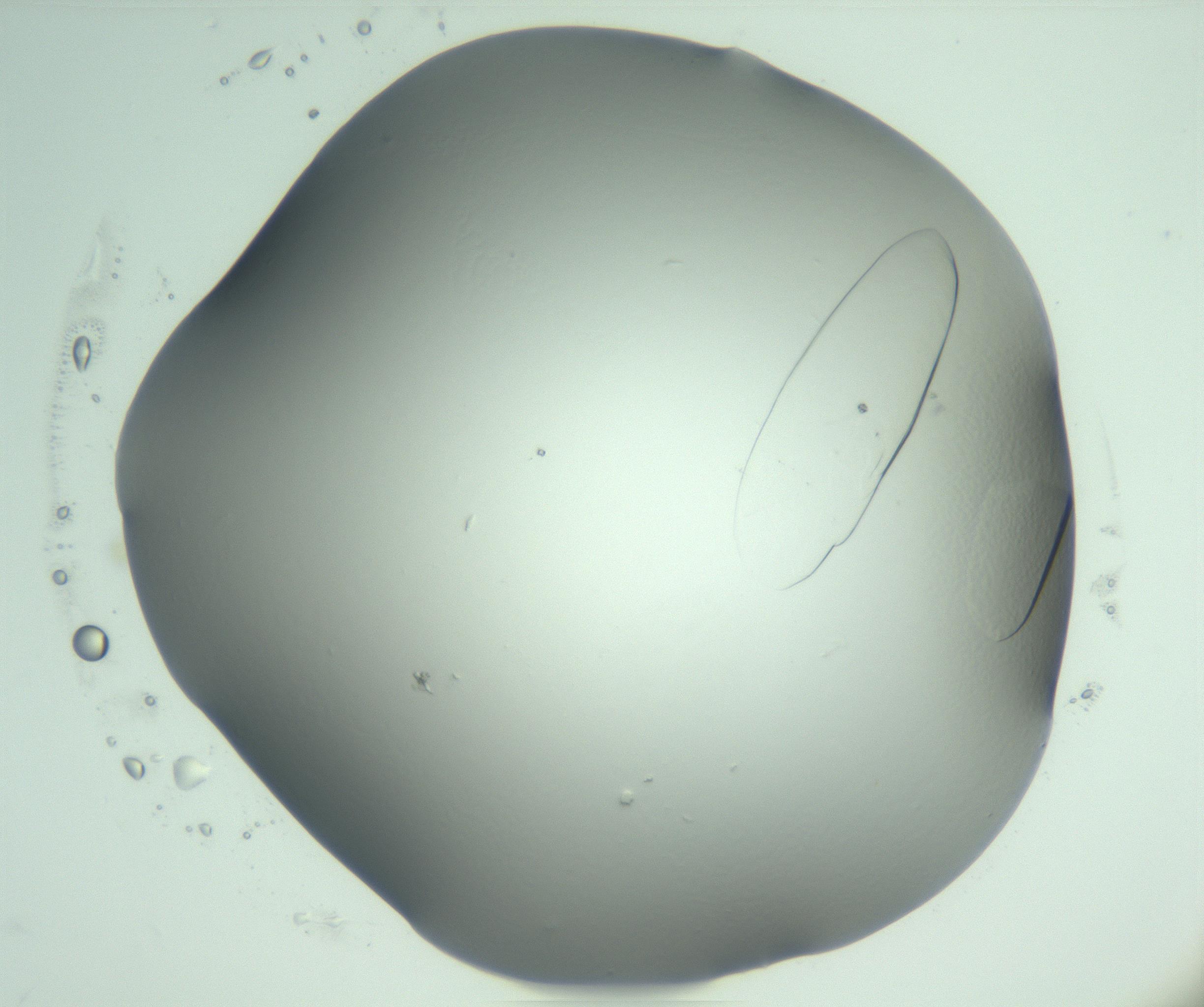 RI01_03_000_0212_Proj1_Clon1_MC_0000MC103075_004_161130_04_02_02_00_99_002_001_RAI.jpg