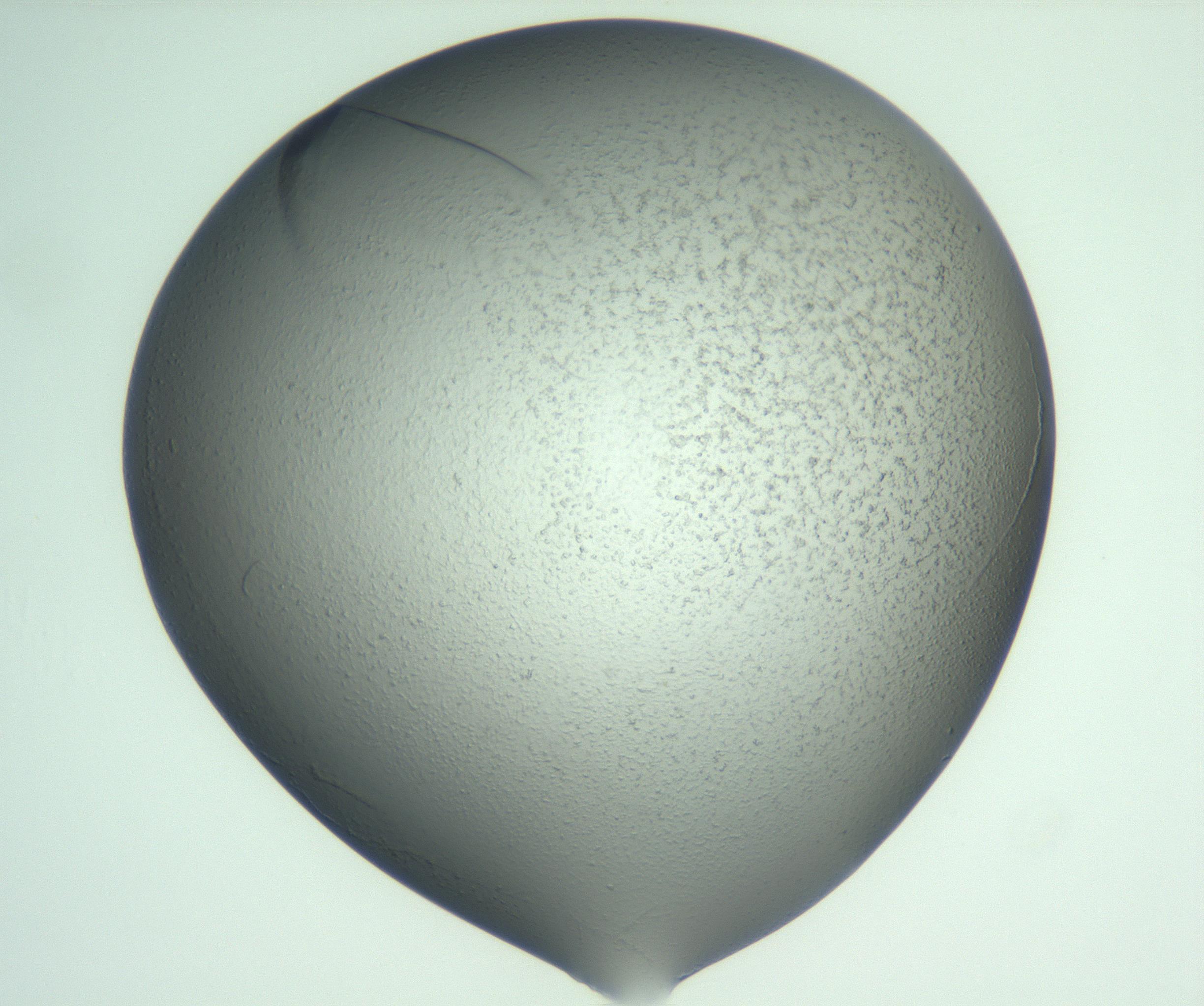 RI01_03_000_0212_Proj1_Clon1_MC_0000MC103075_004_161130_07_02_01_00_99_002_001_RAI.jpg