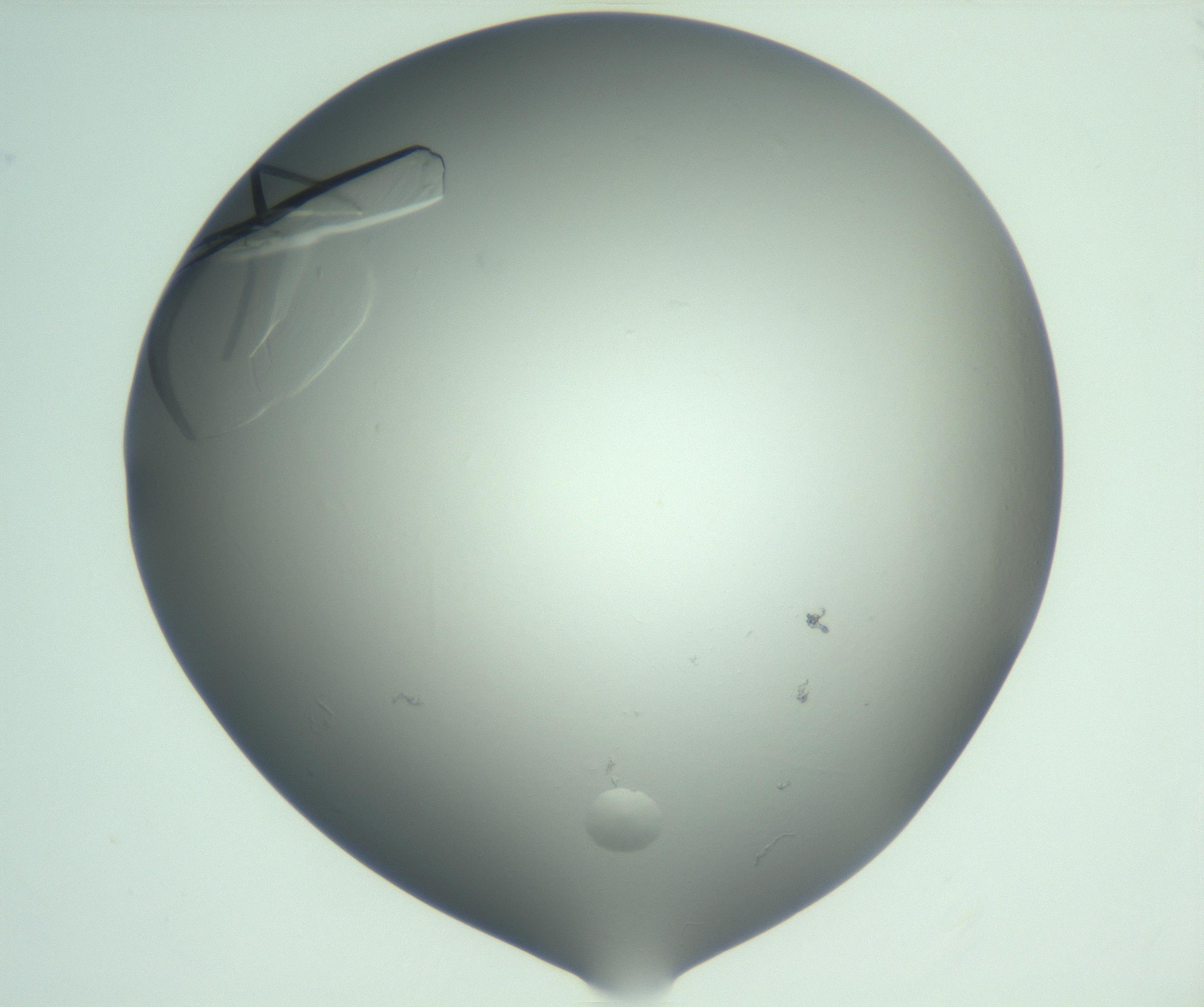 RI01_03_000_0212_Proj1_Clon1_MC_0000MC103075_004_161130_08_02_01_00_99_002_001_RAI.jpg