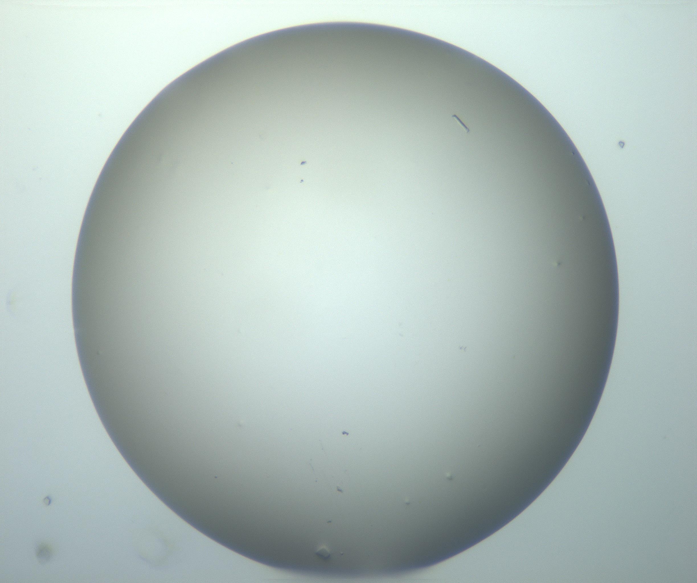 RI01_03_000_0212_Proj1_Clon1_MC_0000MC103084_002_161201_02_03_01_00_99_002_001_RAI.jpg