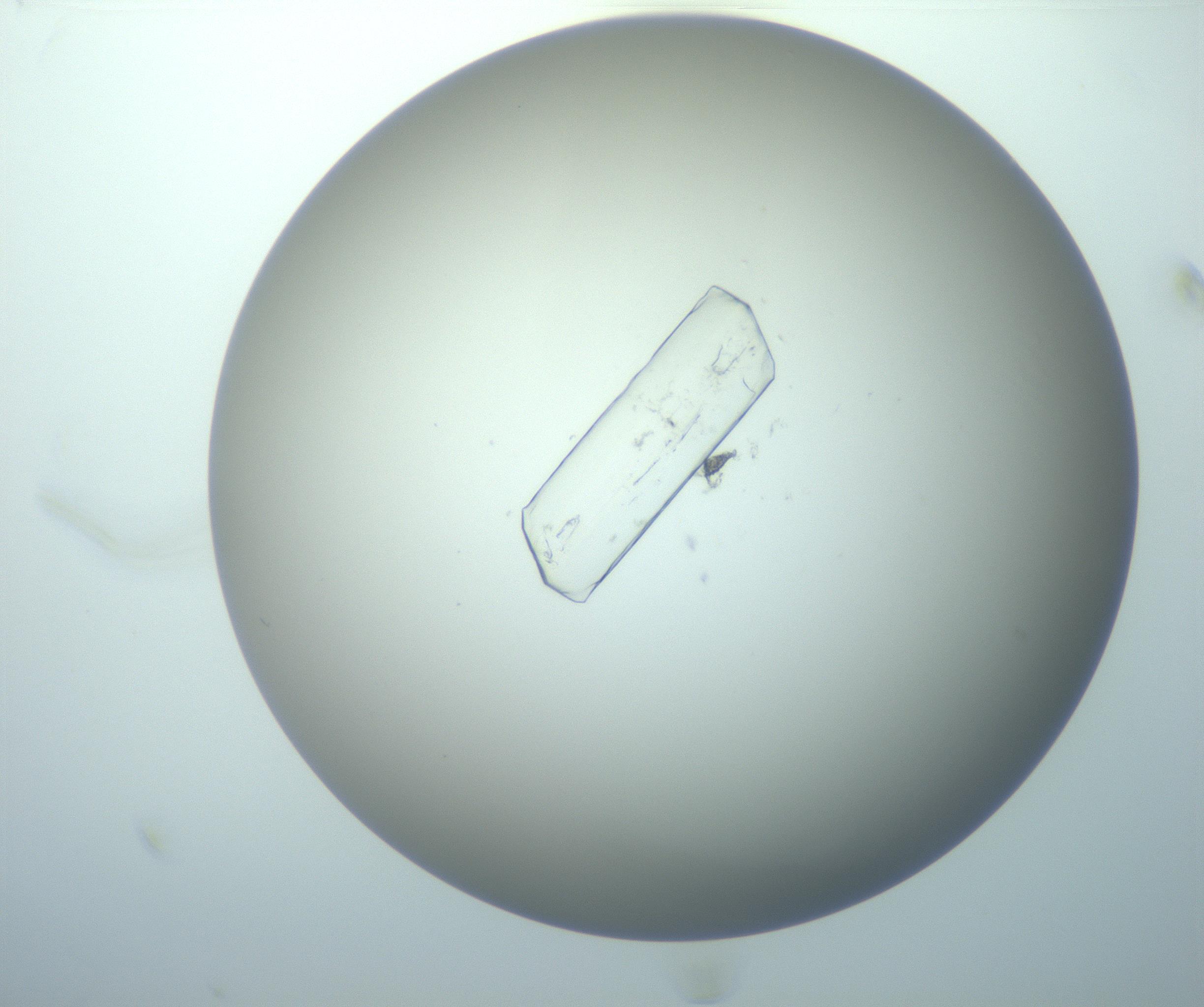 RI01_03_000_0212_Proj1_Clon1_MC_0000MC103087_003_161203_12_01_01_00_99_002_001_RAI.jpg