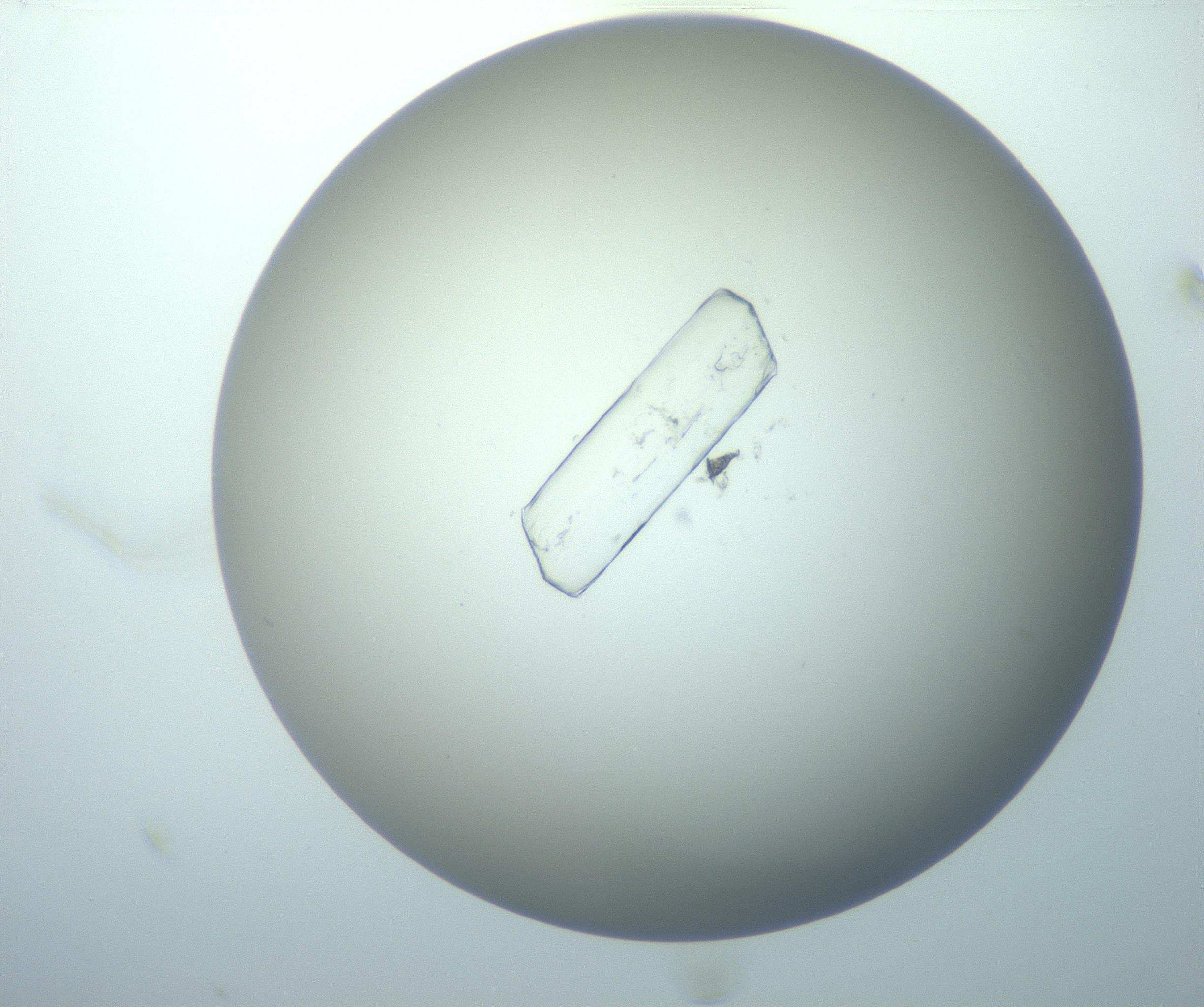 RI01_03_000_0212_Proj1_Clon1_MC_0000MC103087_005_161207_12_01_01_00_99_002_001_RAI.jpg