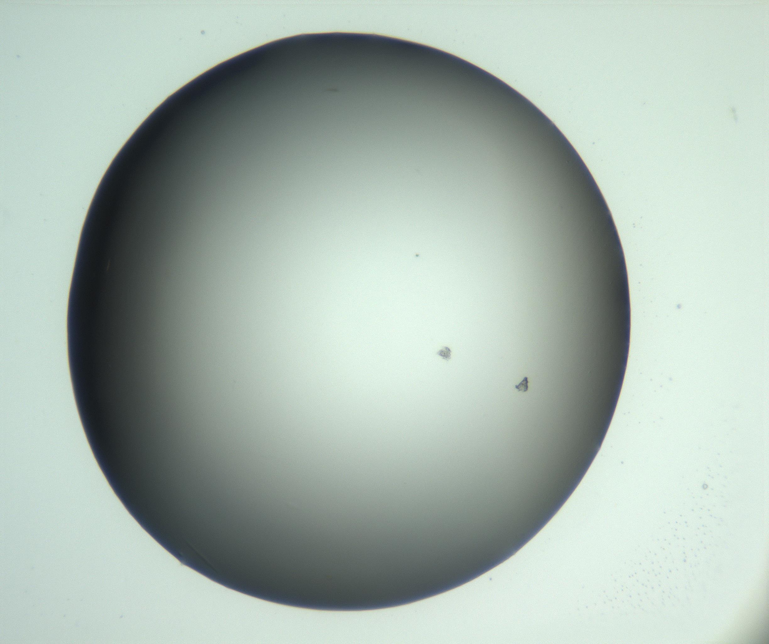 RI01_03_000_0212_Proj1_Clon1_MC_0000MC103093_003_161204_02_05_01_00_99_002_001_RAI.jpg