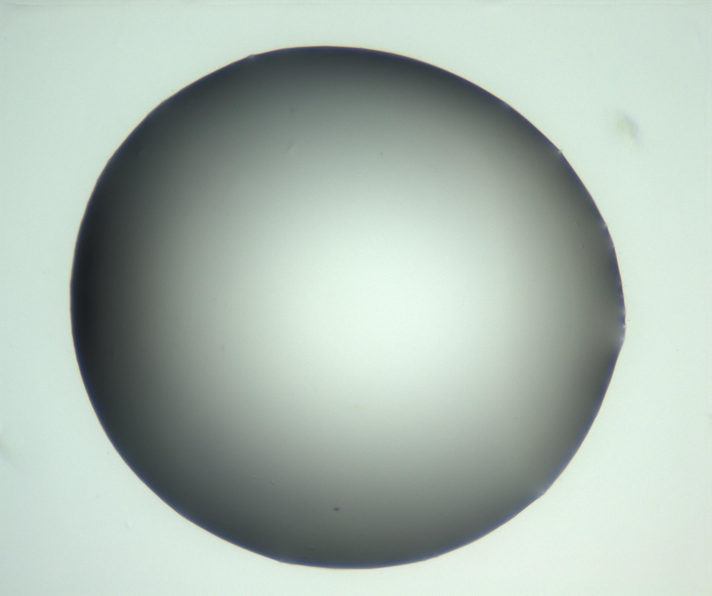 RI01_03_000_0212_Proj1_Clon1_MC_0000MC103093_004_161206_01_01_01_00_99_002_001_RAI.jpg