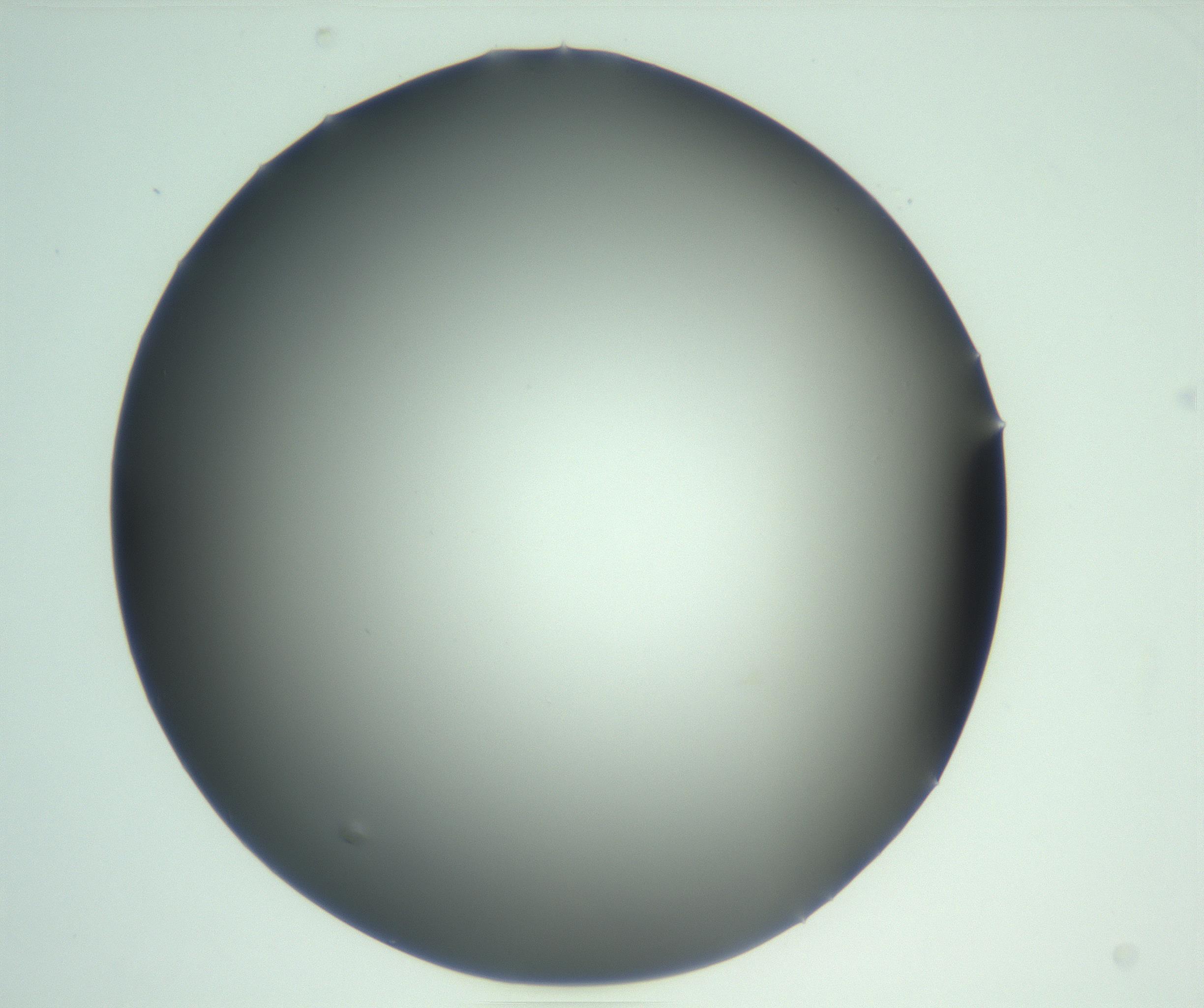 RI01_03_000_0212_Proj1_Clon1_MC_0000MC103093_004_161206_01_01_02_00_99_002_001_RAI.jpg