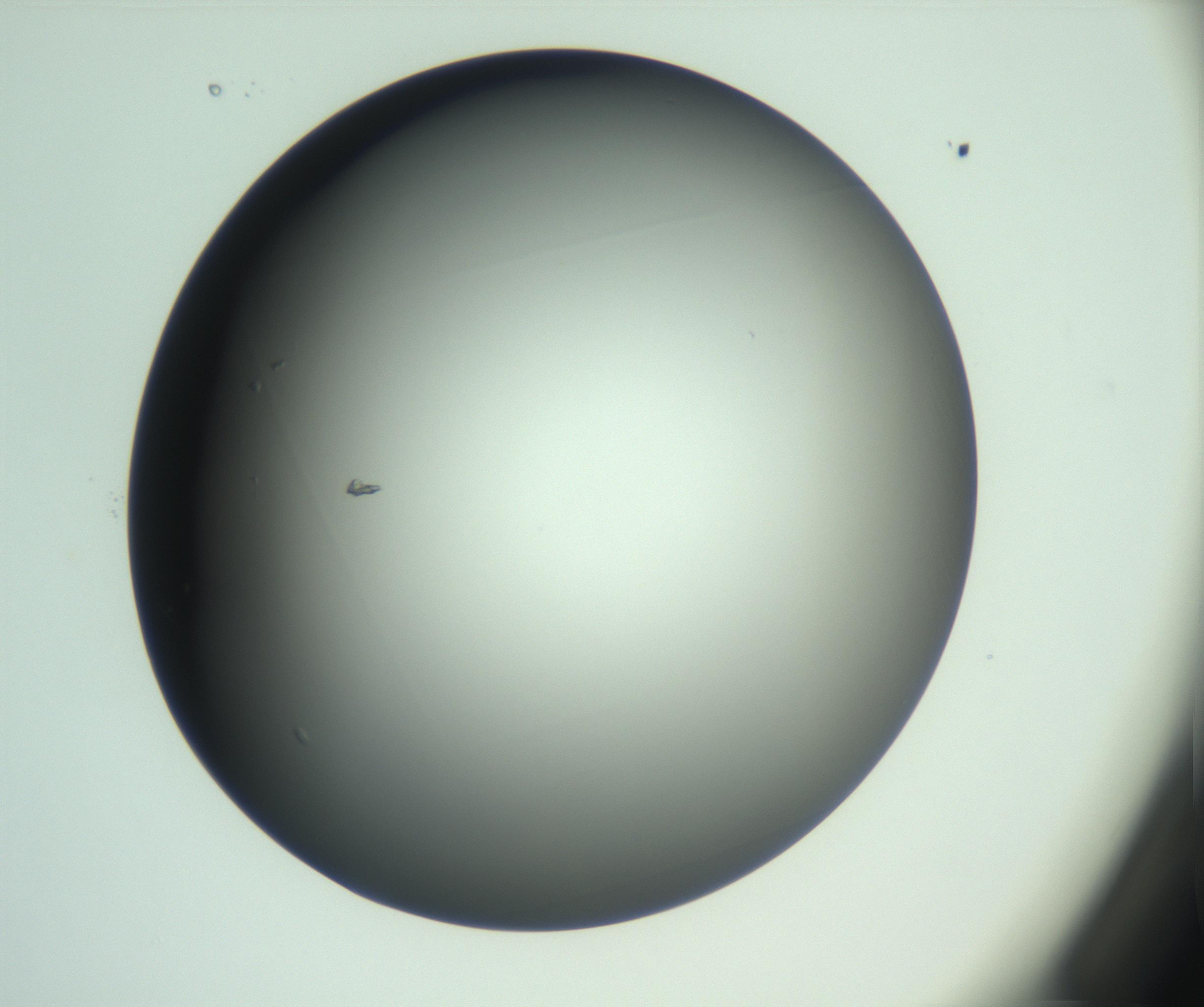 RI01_03_000_0212_Proj1_Clon1_MC_0000MC103093_004_161206_01_02_01_00_99_002_001_RAI.jpg