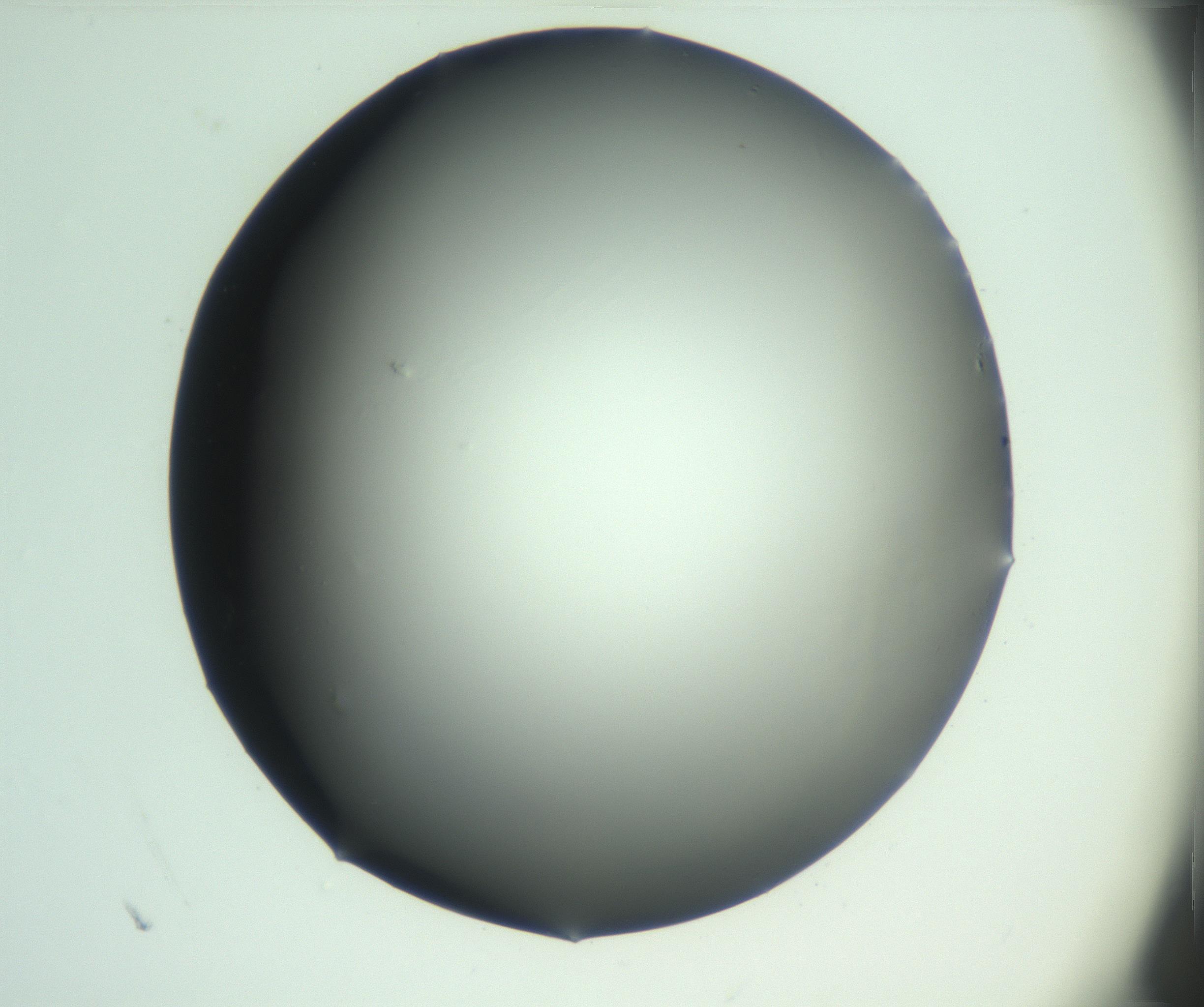 RI01_03_000_0212_Proj1_Clon1_MC_0000MC103093_004_161206_01_04_01_00_99_002_001_RAI.jpg