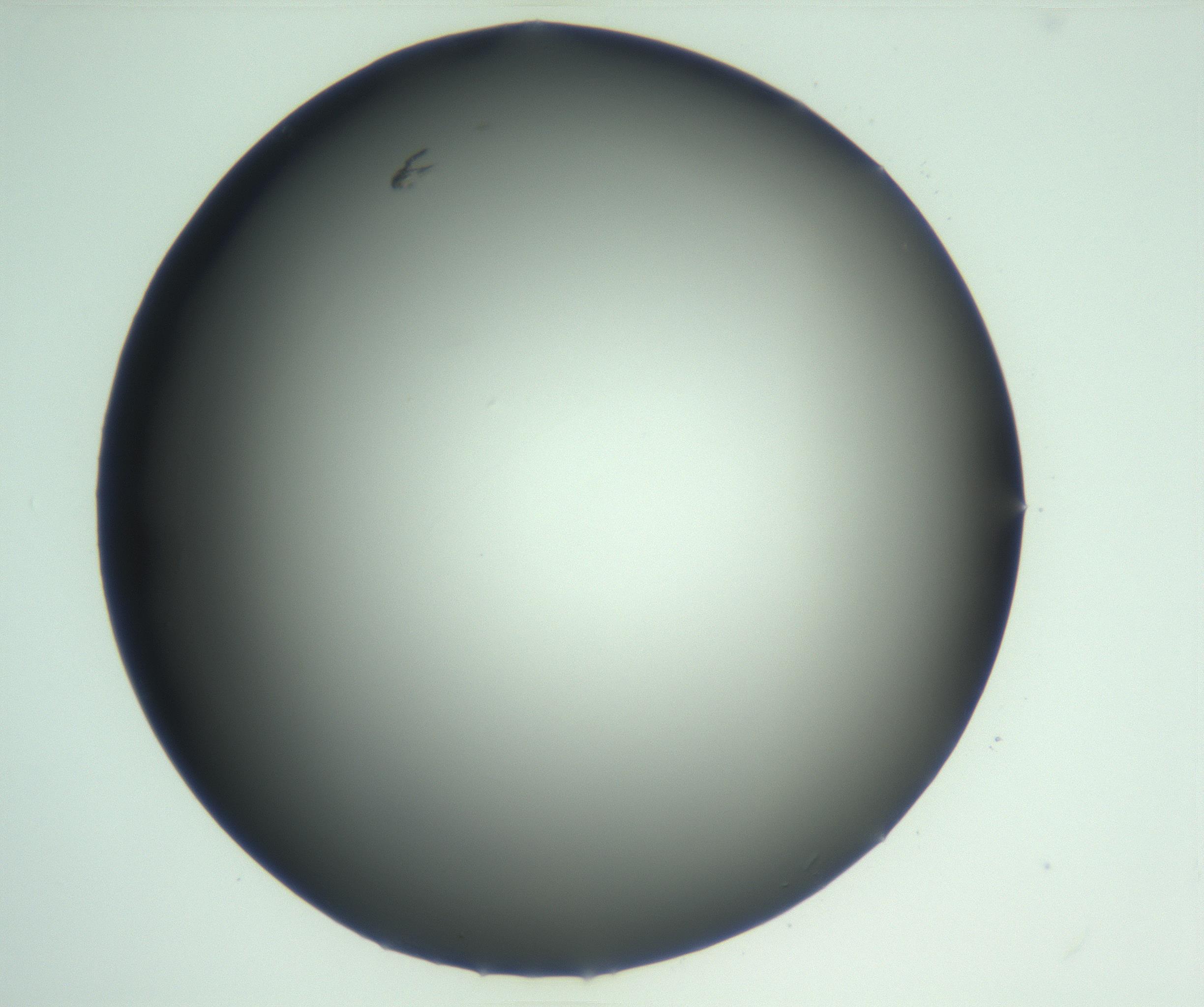 RI01_03_000_0212_Proj1_Clon1_MC_0000MC103093_004_161206_01_04_02_00_99_002_001_RAI.jpg