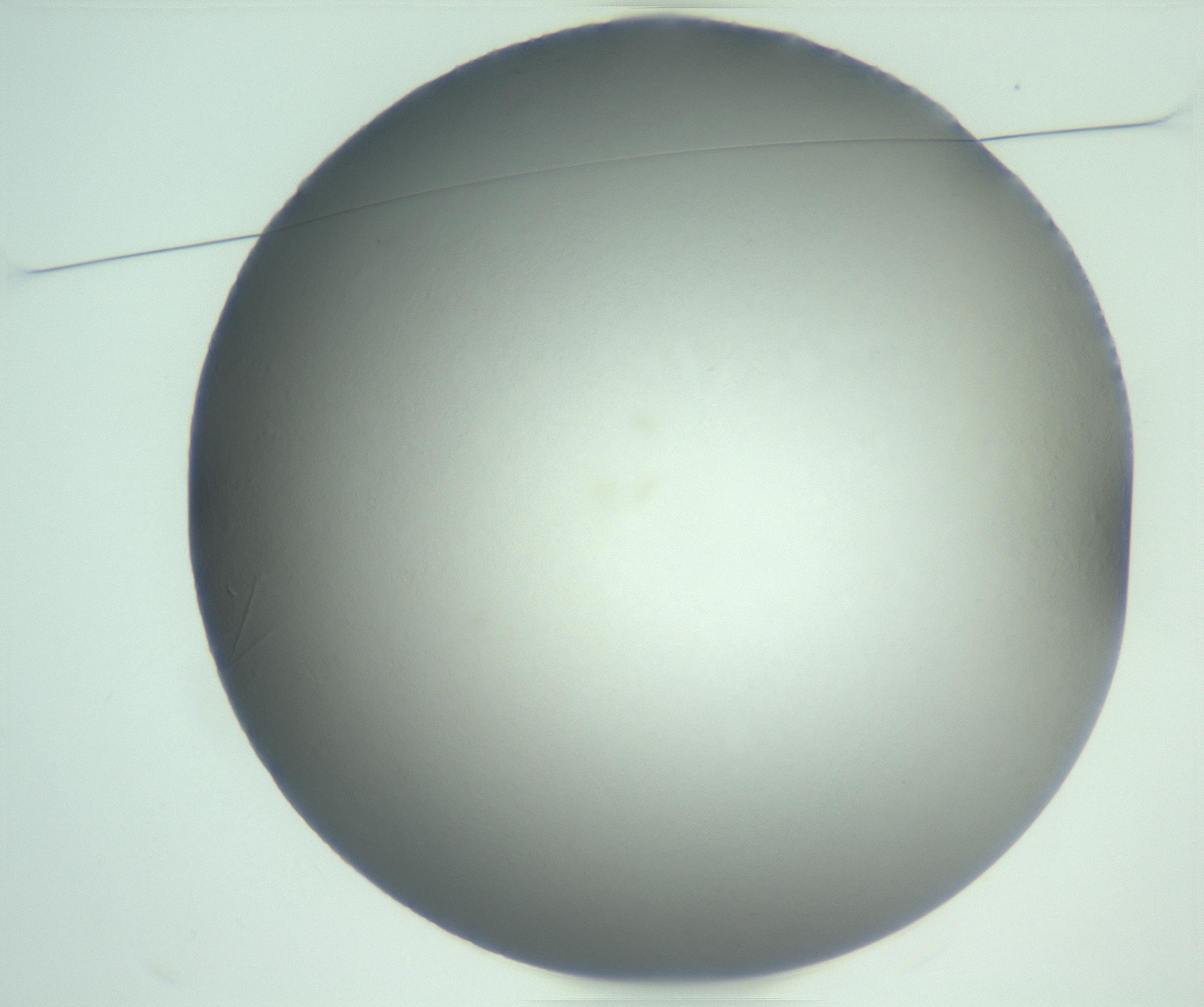 RI01_03_000_0212_Proj1_Clon1_MC_0000MC103093_004_161206_02_01_01_00_99_002_001_RAI.jpg
