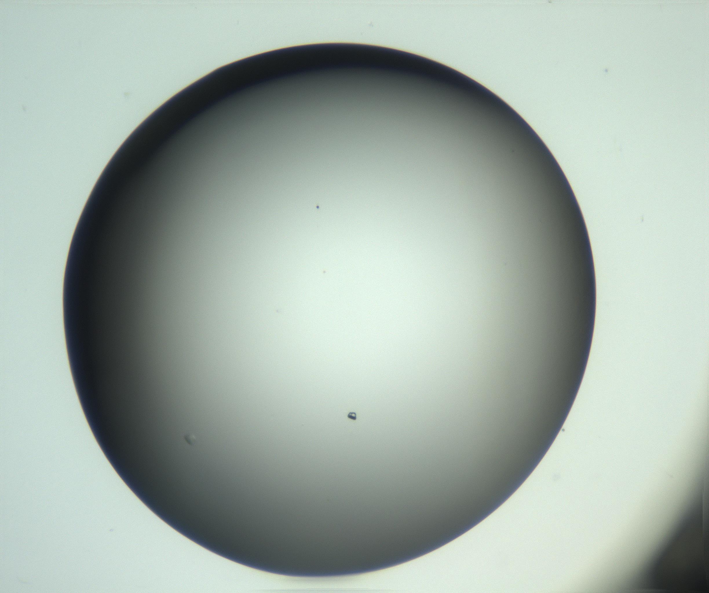 RI01_03_000_0212_Proj1_Clon1_MC_0000MC103093_004_161206_02_02_01_00_99_002_001_RAI.jpg