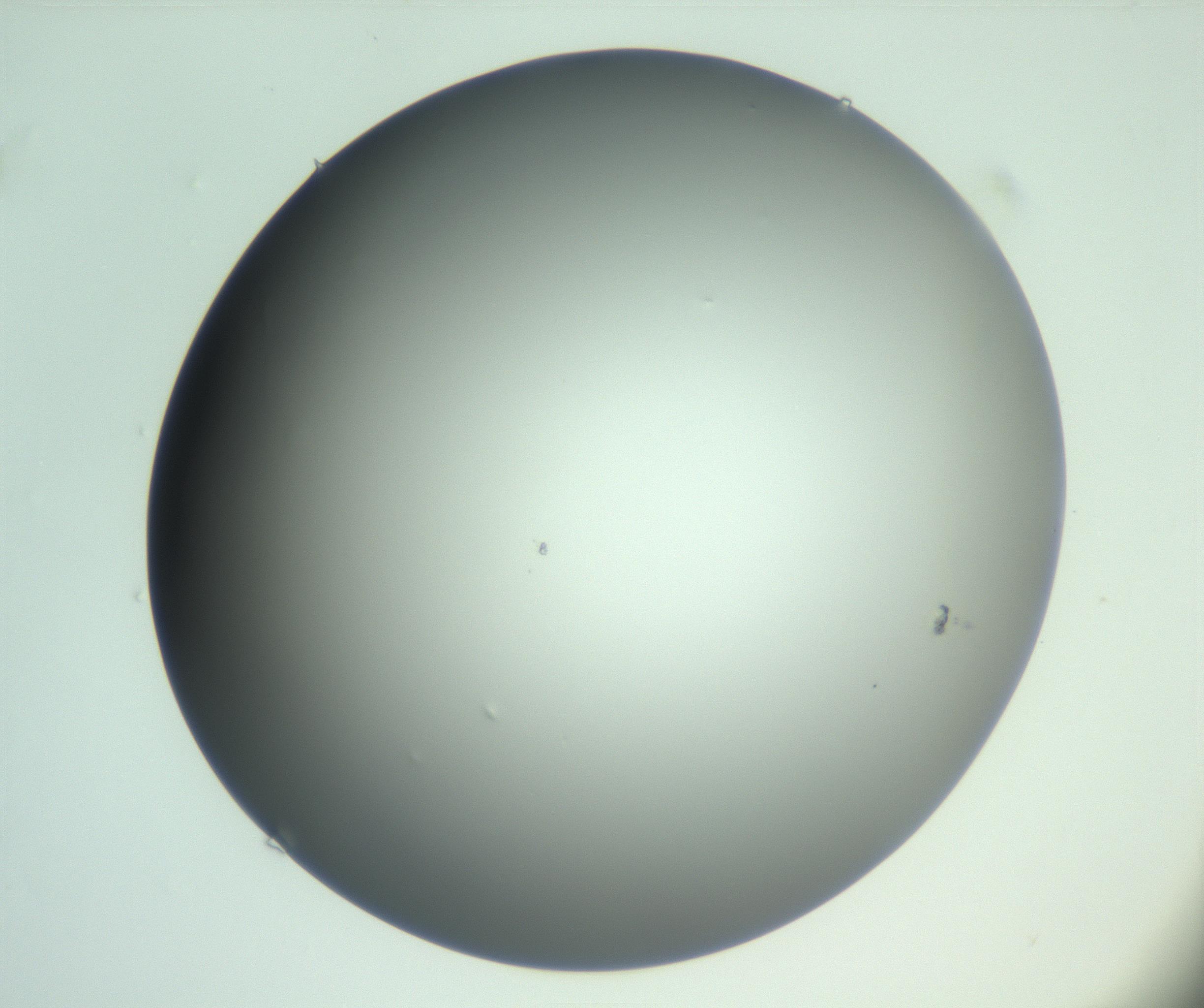 RI01_03_000_0212_Proj1_Clon1_MC_0000MC103093_004_161206_02_03_01_00_99_002_001_RAI.jpg
