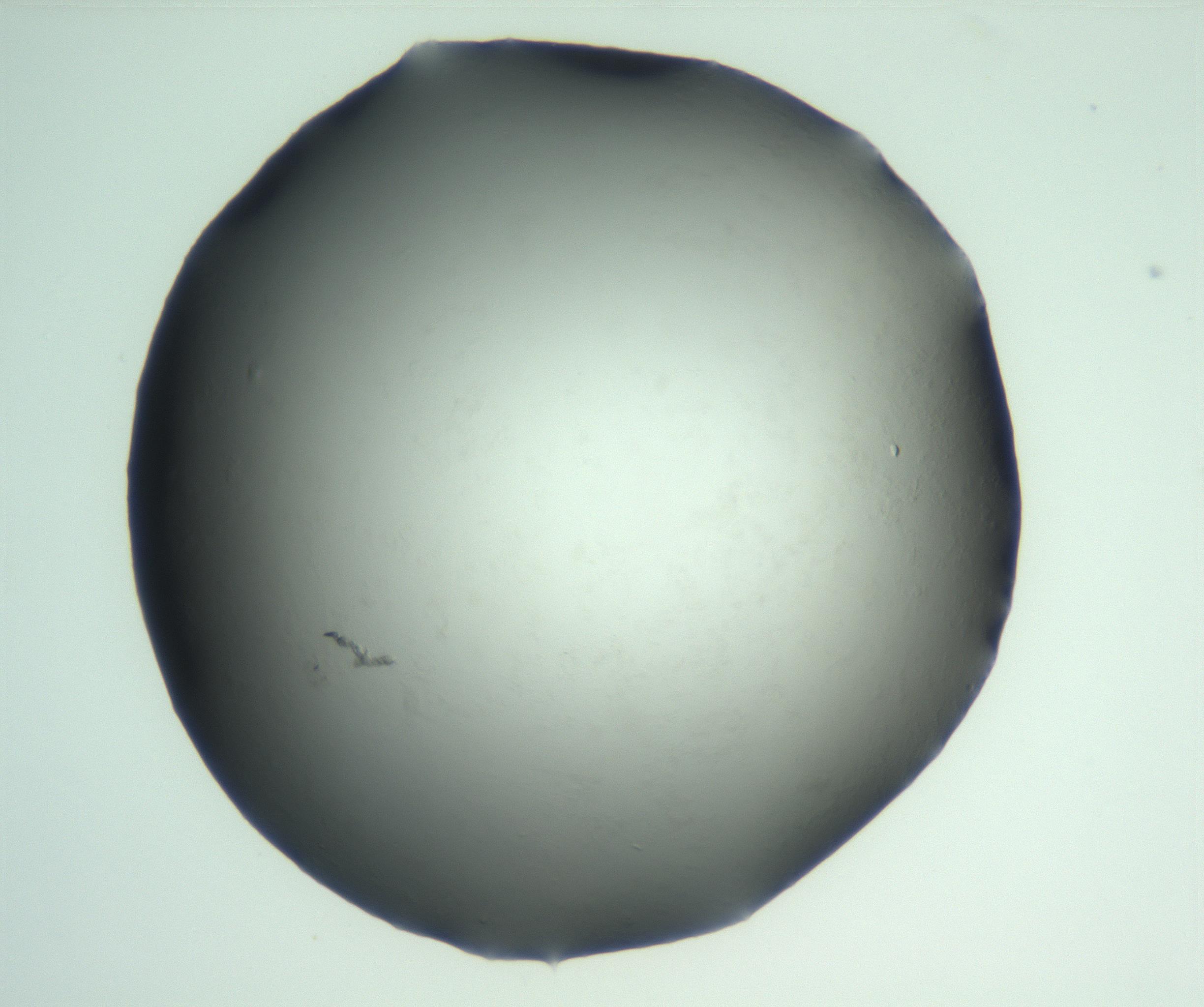 RI01_03_000_0212_Proj1_Clon1_MC_0000MC103093_004_161206_02_03_02_00_99_002_001_RAI.jpg