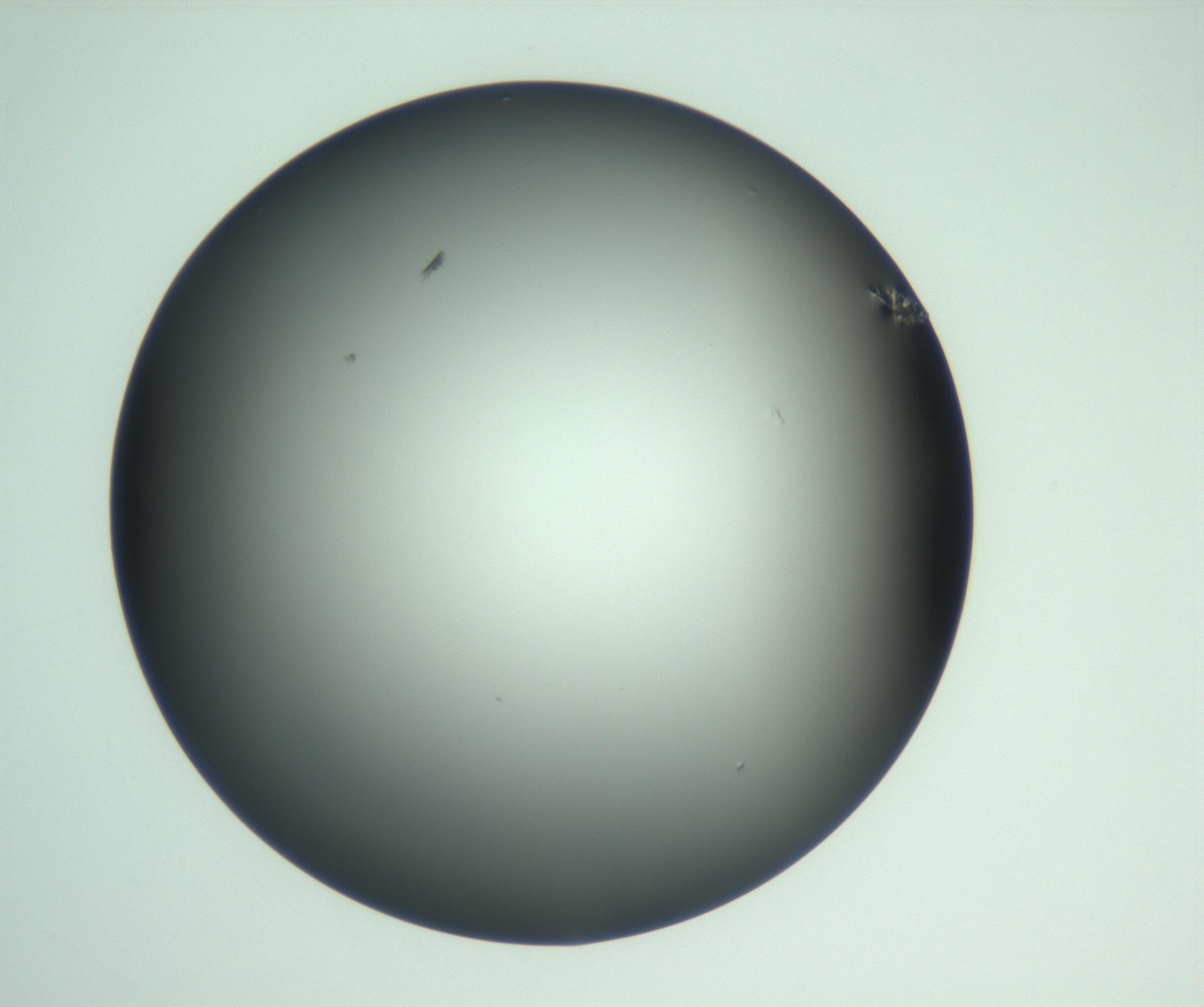 RI01_03_000_0212_Proj1_Clon1_MC_0000MC103093_004_161206_02_04_01_00_99_002_001_RAI.jpg