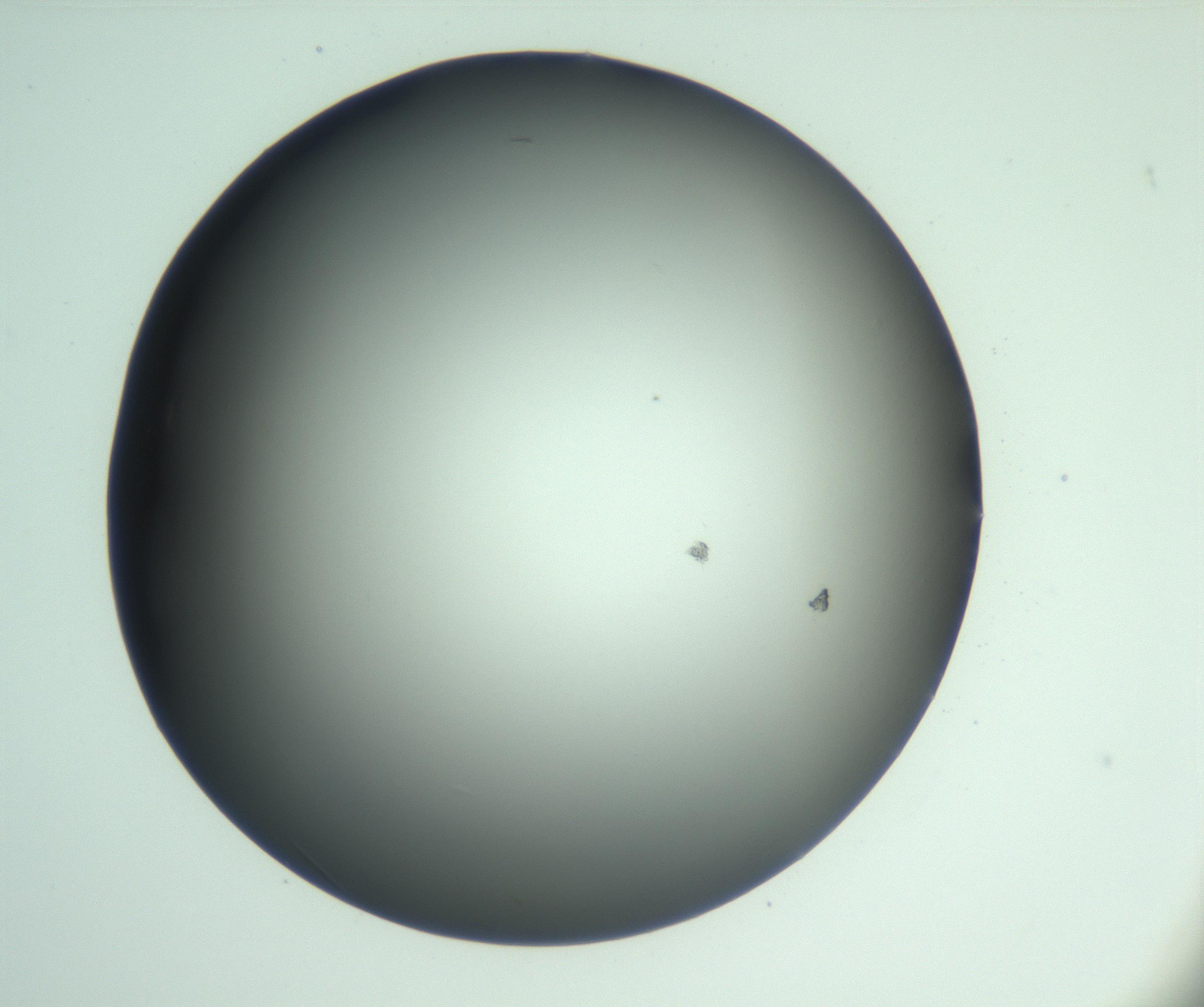 RI01_03_000_0212_Proj1_Clon1_MC_0000MC103093_004_161206_02_05_01_00_99_002_001_RAI.jpg