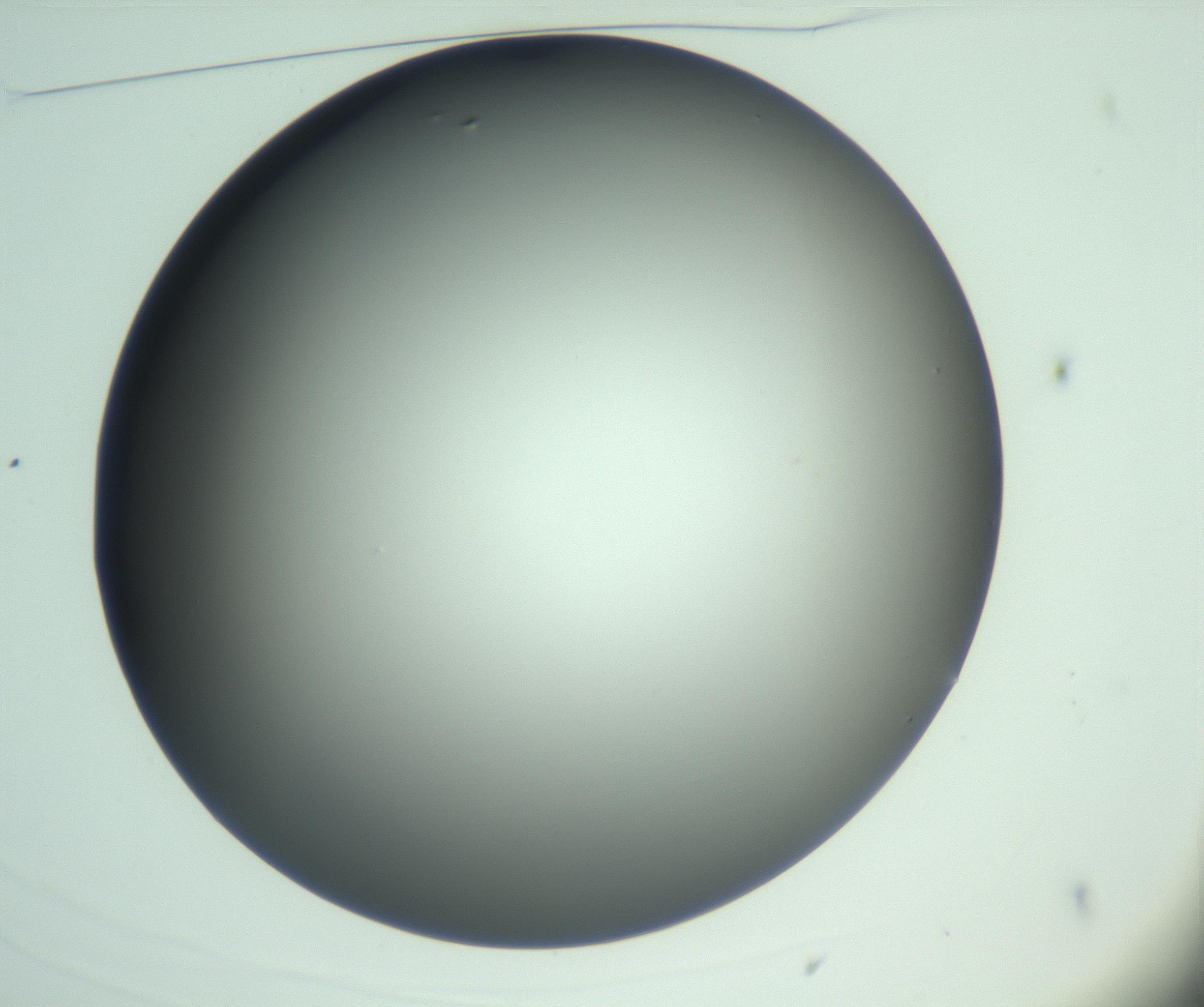 RI01_03_000_0212_Proj1_Clon1_MC_0000MC103093_004_161206_03_01_01_00_99_002_001_RAI.jpg