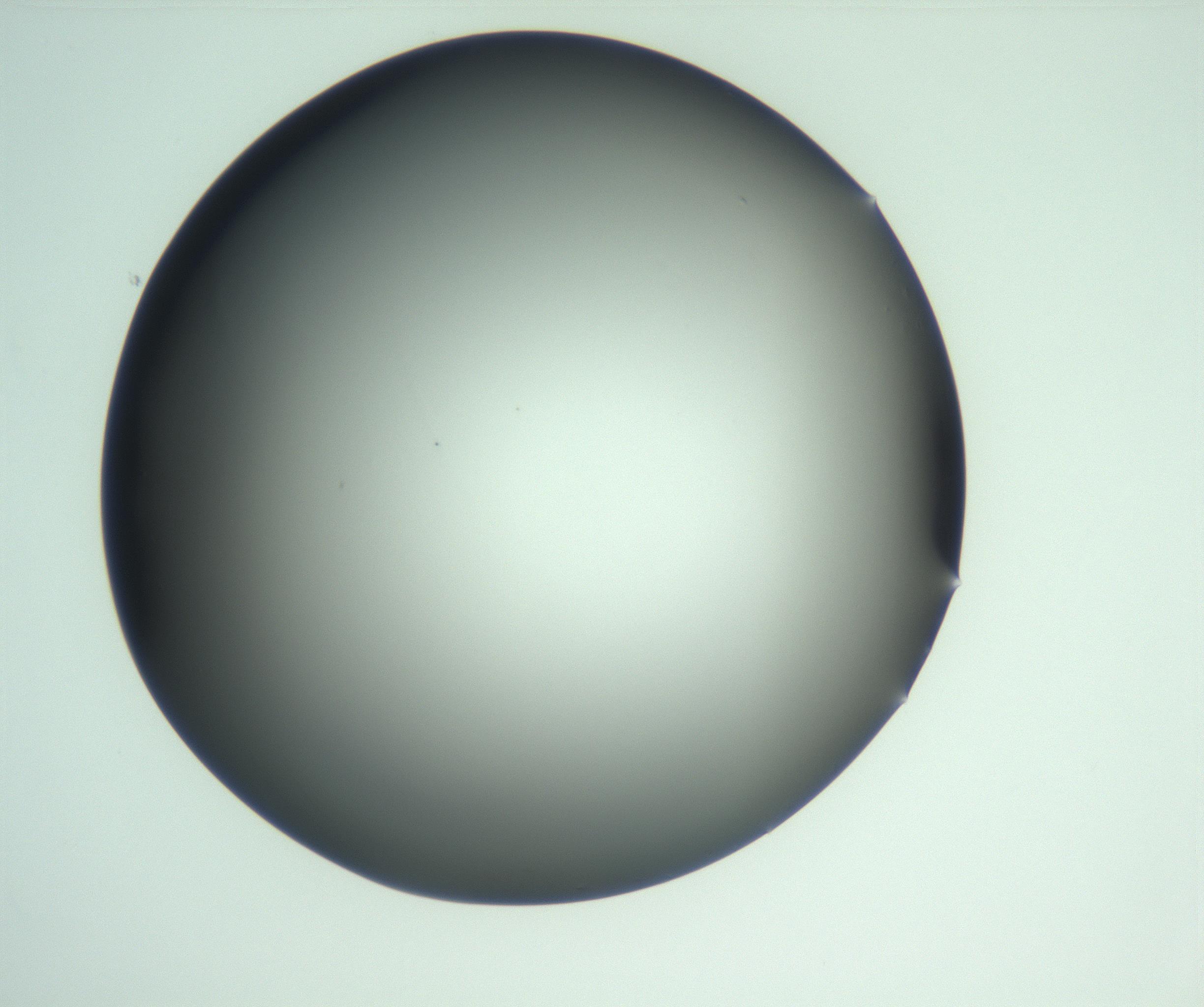 RI01_03_000_0212_Proj1_Clon1_MC_0000MC103093_004_161206_03_01_02_00_99_002_001_RAI.jpg