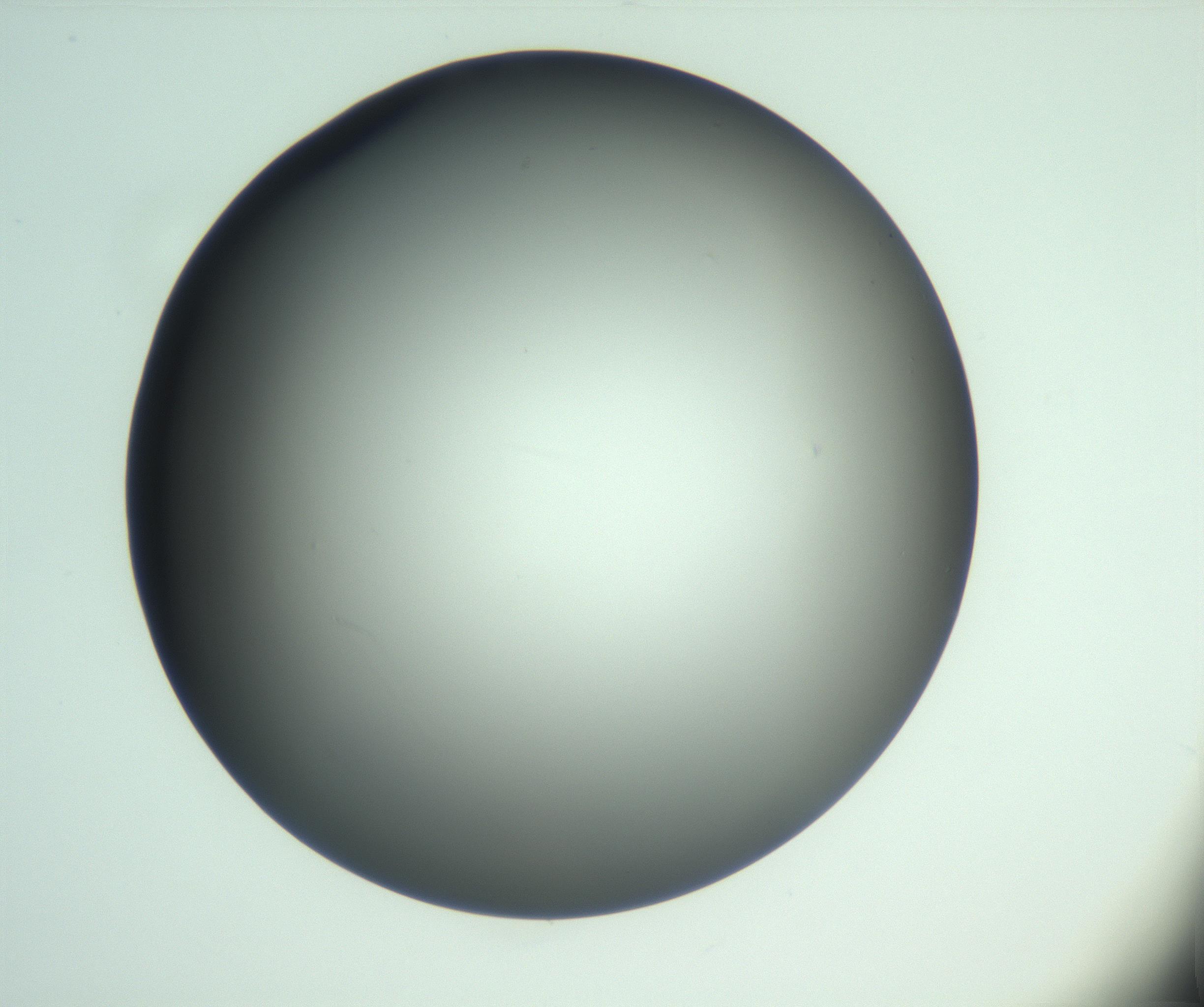 RI01_03_000_0212_Proj1_Clon1_MC_0000MC103093_004_161206_03_02_01_00_99_002_001_RAI.jpg