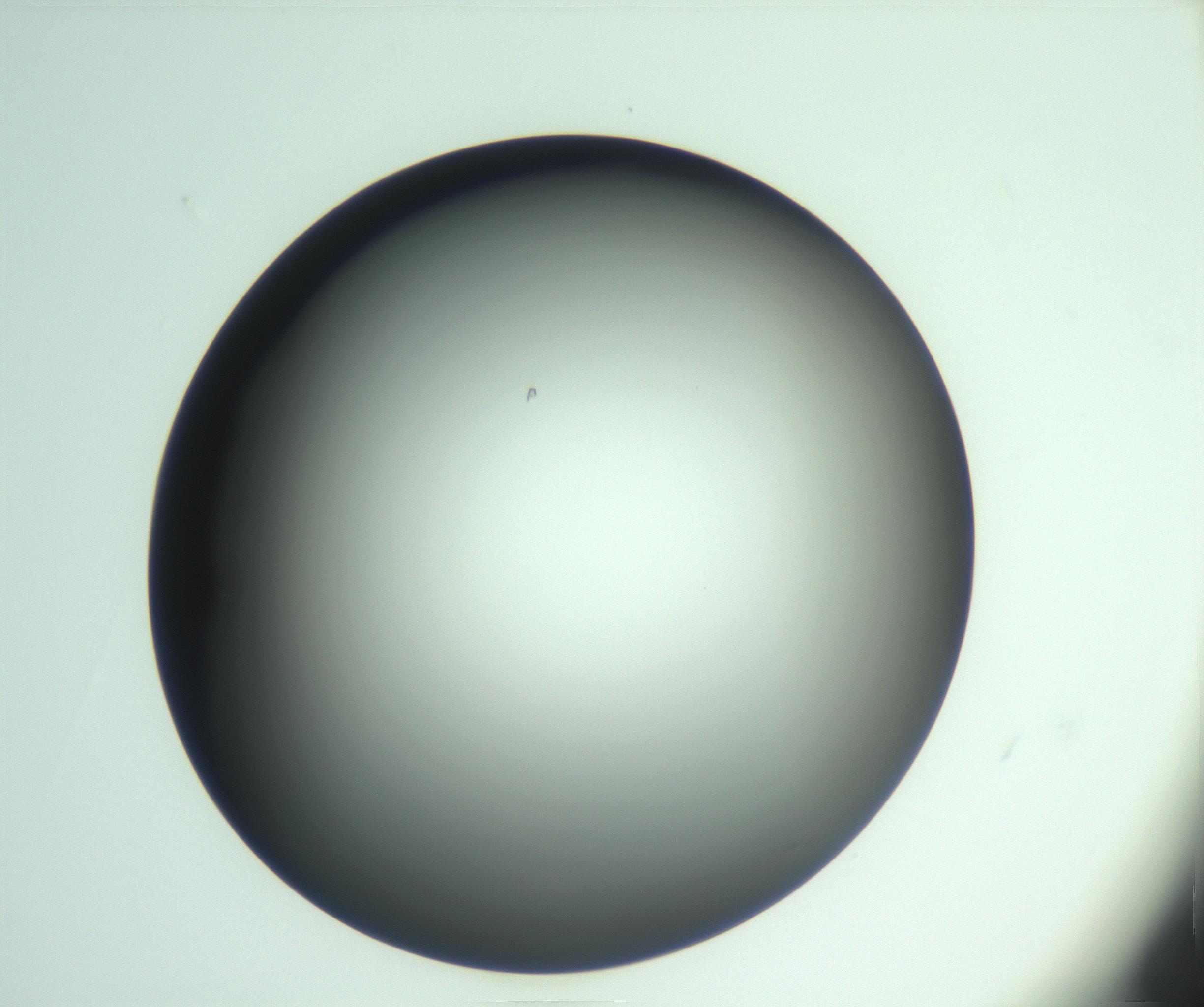 RI01_03_000_0212_Proj1_Clon1_MC_0000MC103093_004_161206_03_03_01_00_99_002_001_RAI.jpg
