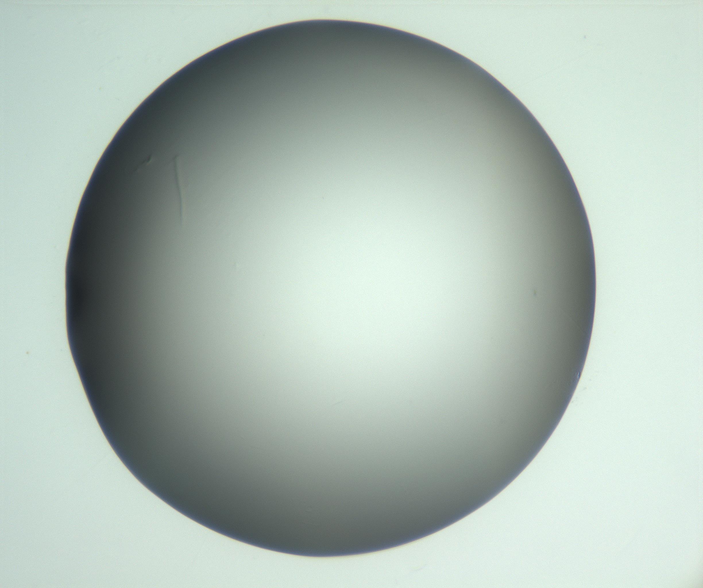 RI01_03_000_0212_Proj1_Clon1_MC_0000MC103093_004_161206_03_04_01_00_99_002_001_RAI.jpg