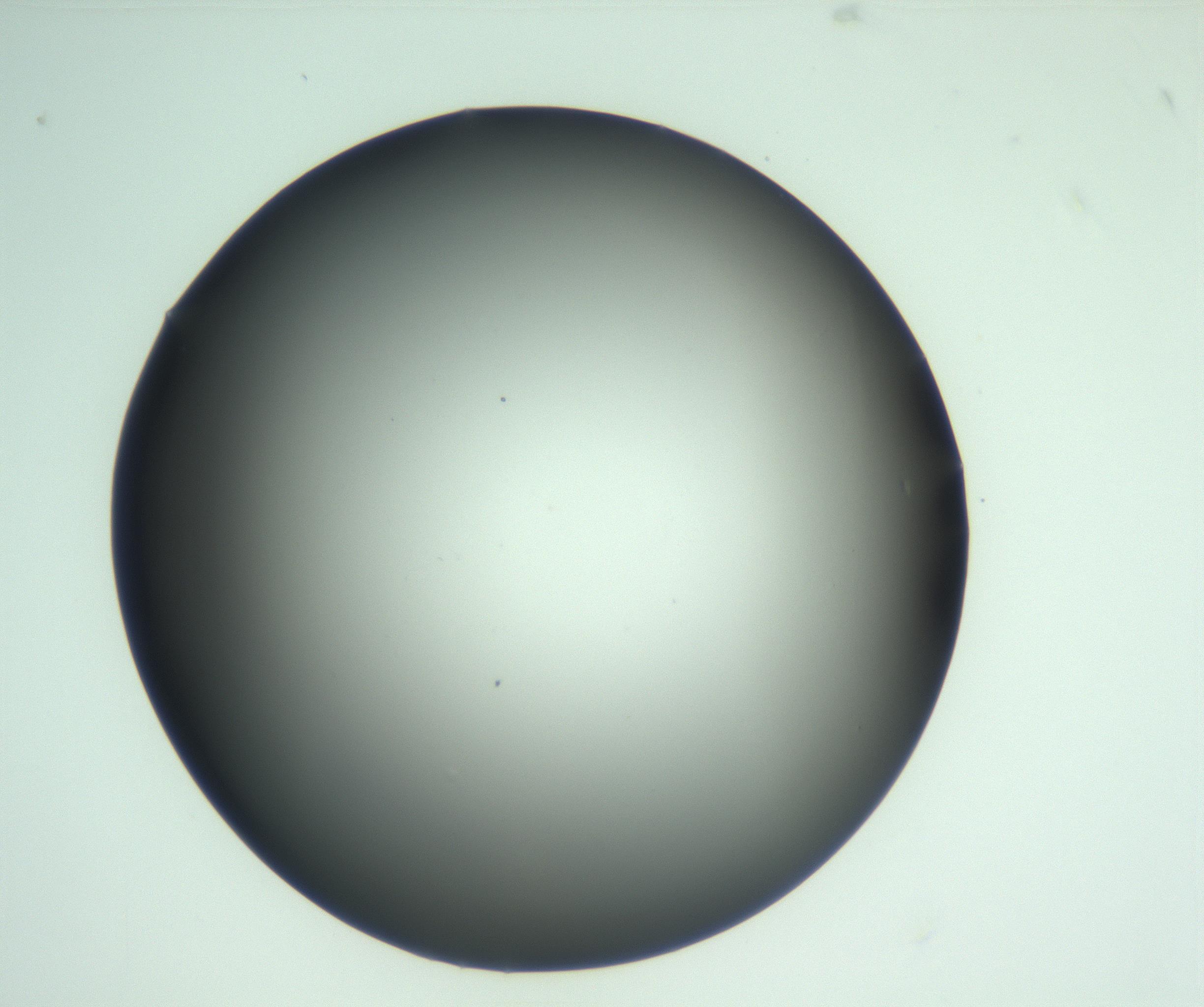 RI01_03_000_0212_Proj1_Clon1_MC_0000MC103093_004_161206_03_05_01_00_99_002_001_RAI.jpg