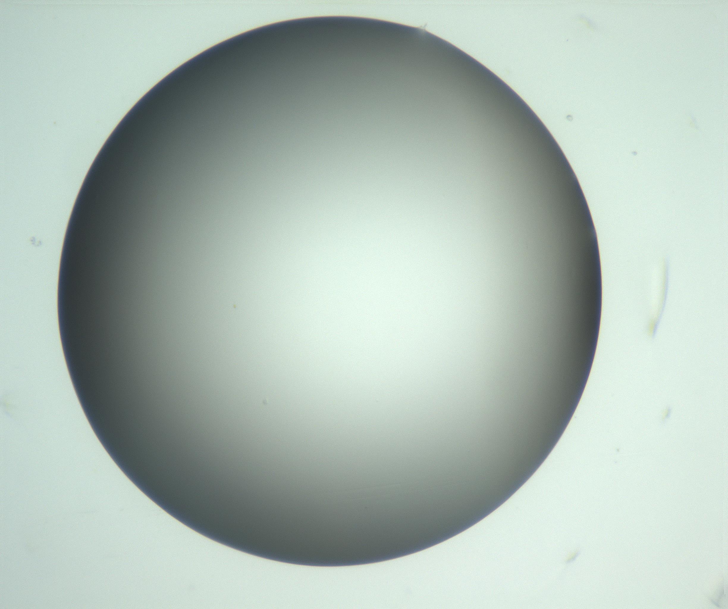RI01_03_000_0212_Proj1_Clon1_MC_0000MC103093_004_161206_04_01_01_00_99_002_001_RAI.jpg