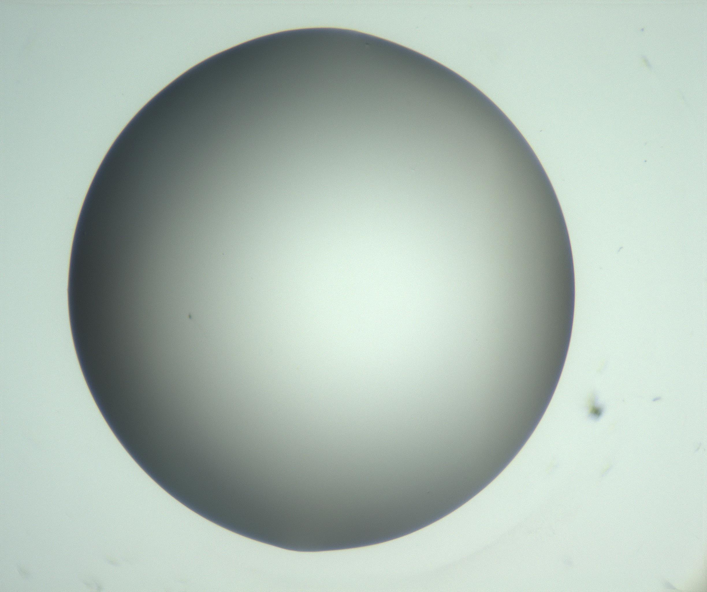 RI01_03_000_0212_Proj1_Clon1_MC_0000MC103093_004_161206_04_01_02_00_99_002_001_RAI.jpg