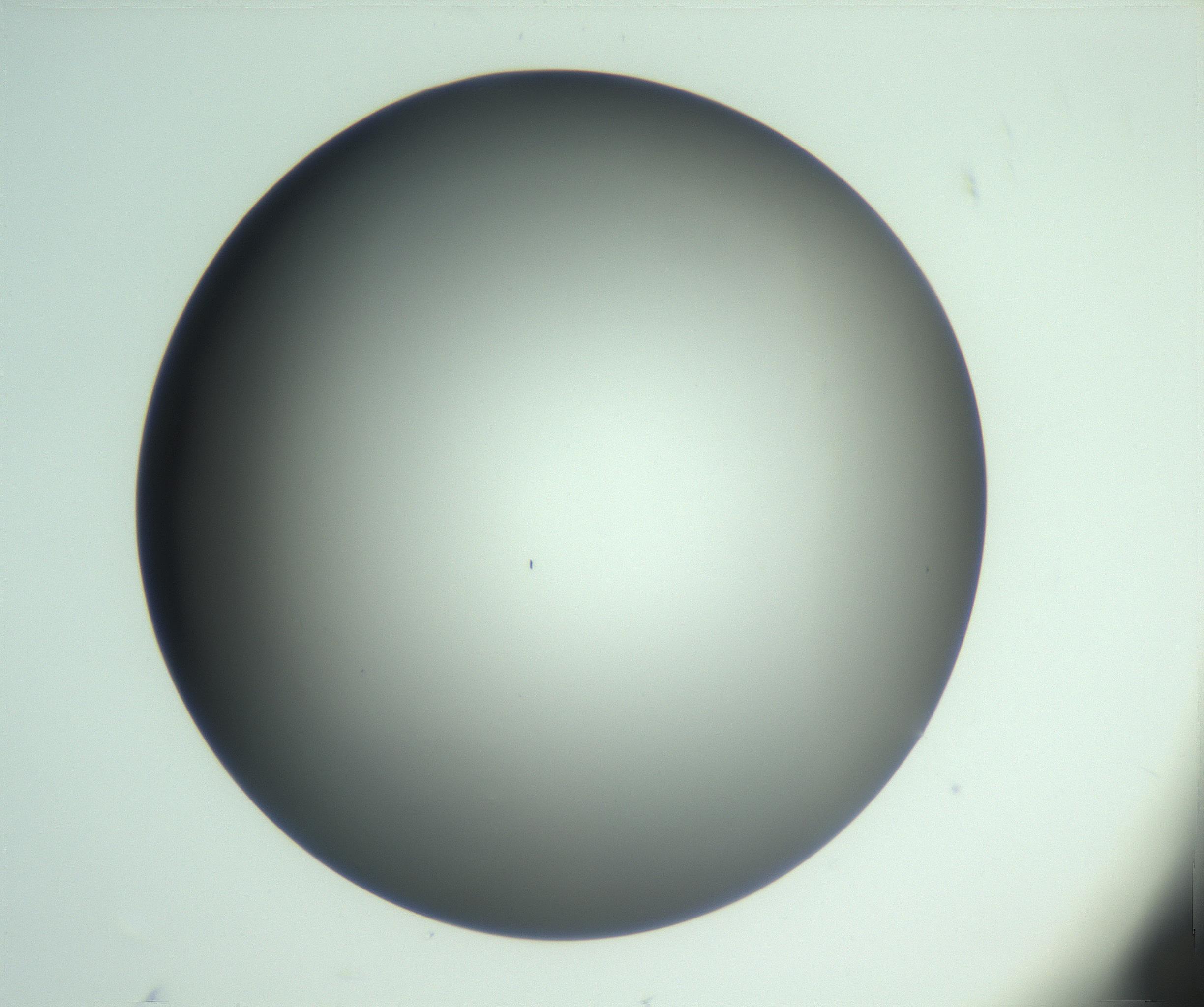 RI01_03_000_0212_Proj1_Clon1_MC_0000MC103093_004_161206_04_02_01_00_99_002_001_RAI.jpg