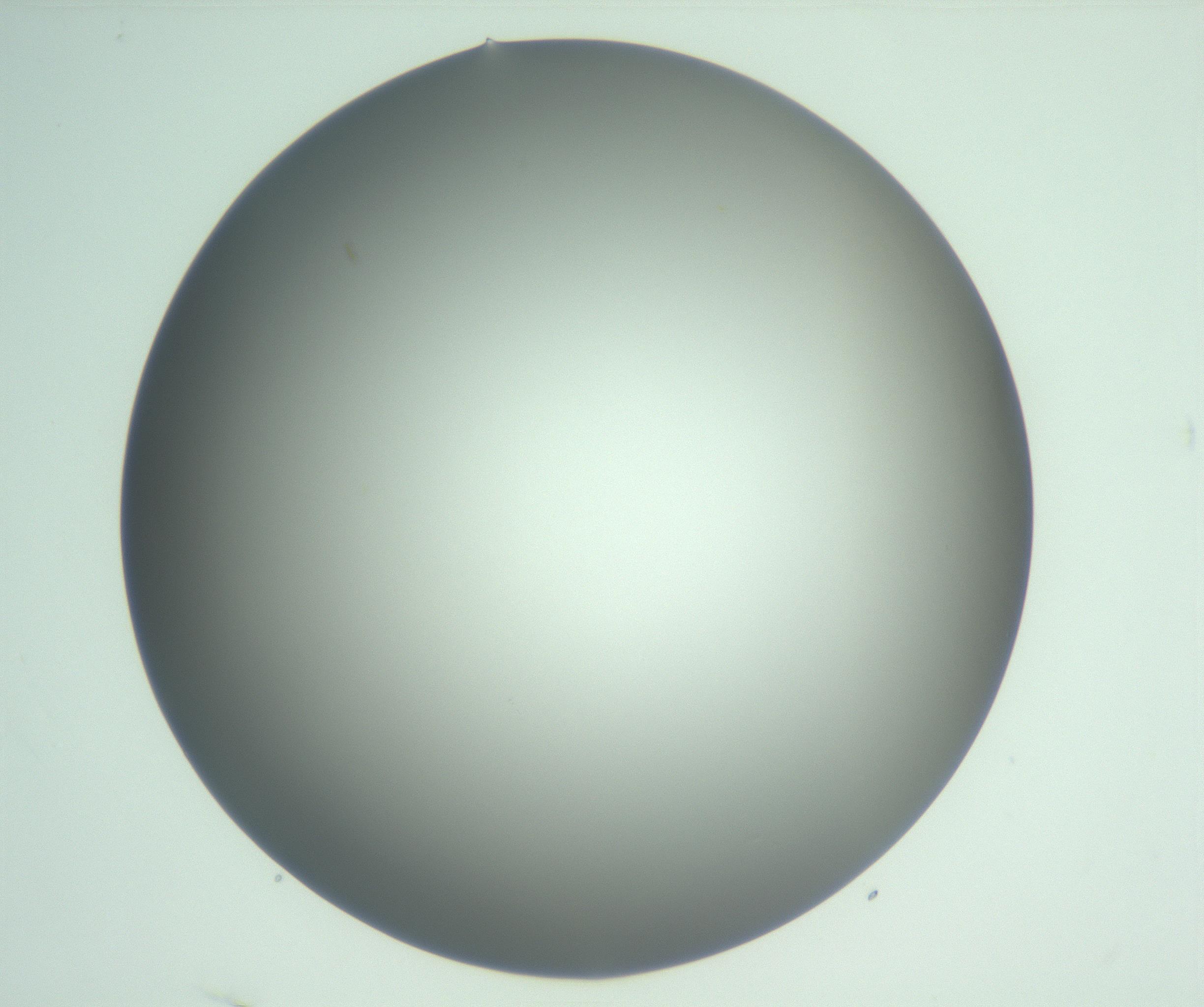 RI01_03_000_0212_Proj1_Clon1_MC_0000MC103093_004_161206_04_03_01_00_99_002_001_RAI.jpg