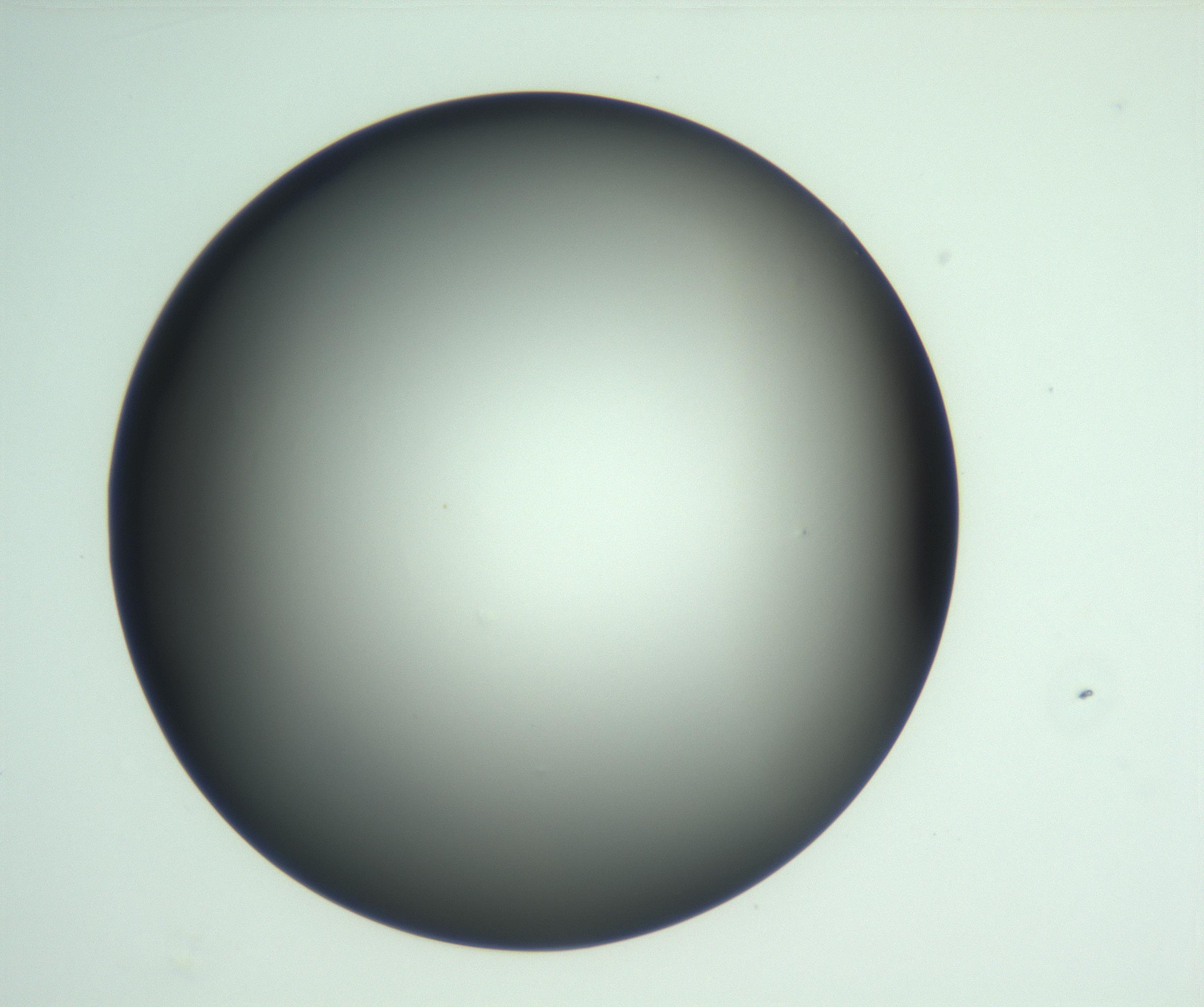 RI01_03_000_0212_Proj1_Clon1_MC_0000MC103093_004_161206_04_04_01_00_99_002_001_RAI.jpg