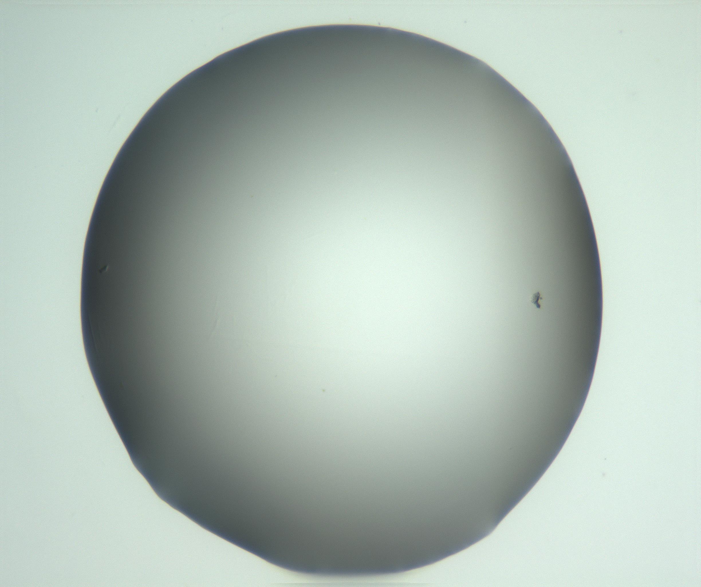 RI01_03_000_0212_Proj1_Clon1_MC_0000MC103093_004_161206_04_05_01_00_99_002_001_RAI.jpg