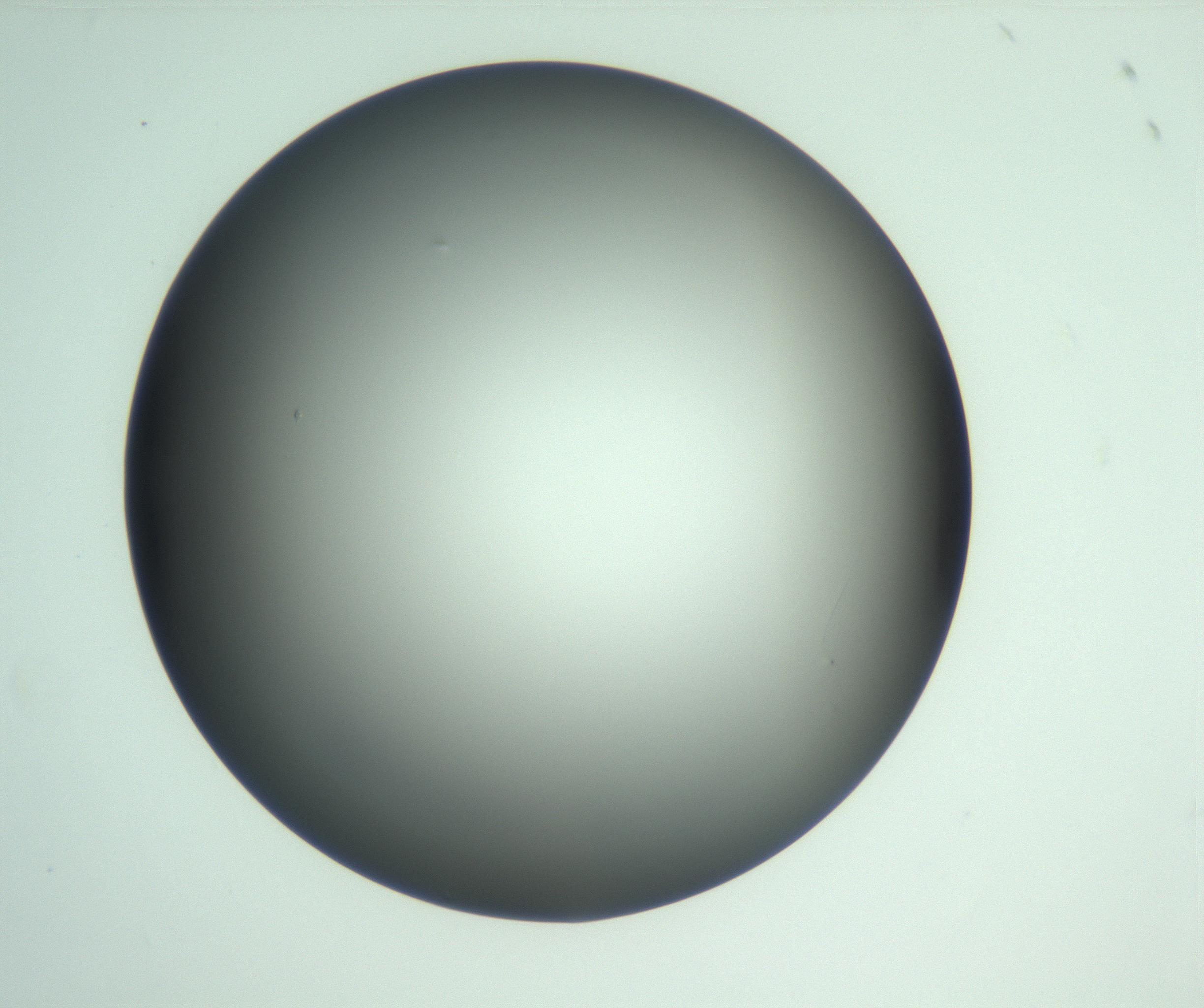 RI01_03_000_0212_Proj1_Clon1_MC_0000MC103093_004_161206_05_01_01_00_99_002_001_RAI.jpg