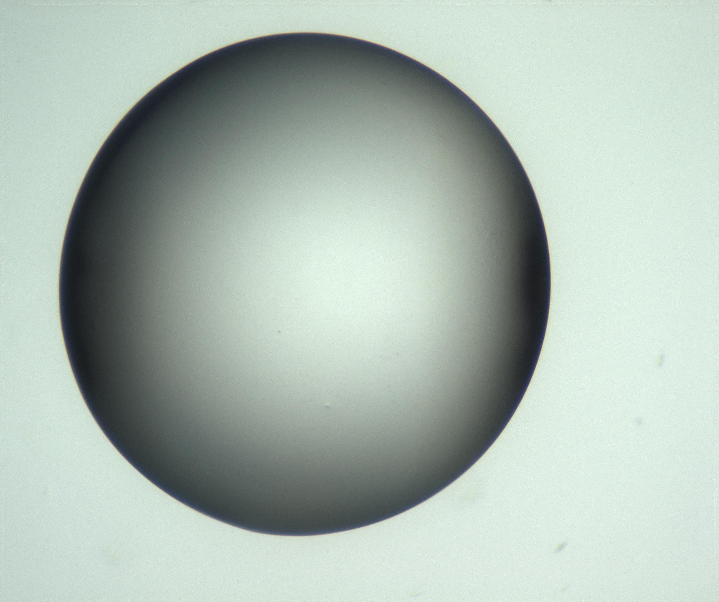 RI01_03_000_0212_Proj1_Clon1_MC_0000MC103093_004_161206_05_01_02_00_99_002_001_RAI.jpg
