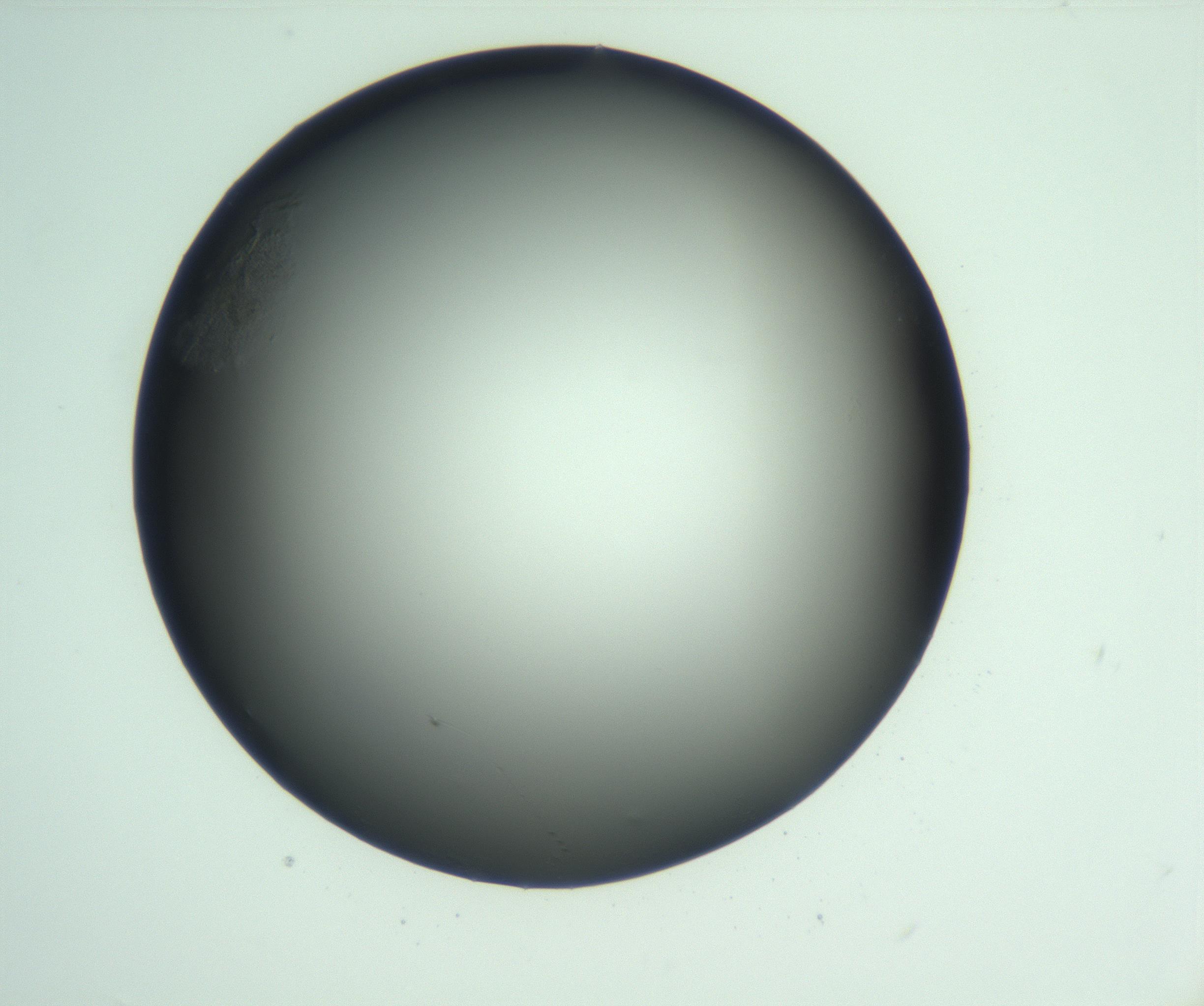 RI01_03_000_0212_Proj1_Clon1_MC_0000MC103093_004_161206_05_02_01_00_99_002_001_RAI.jpg