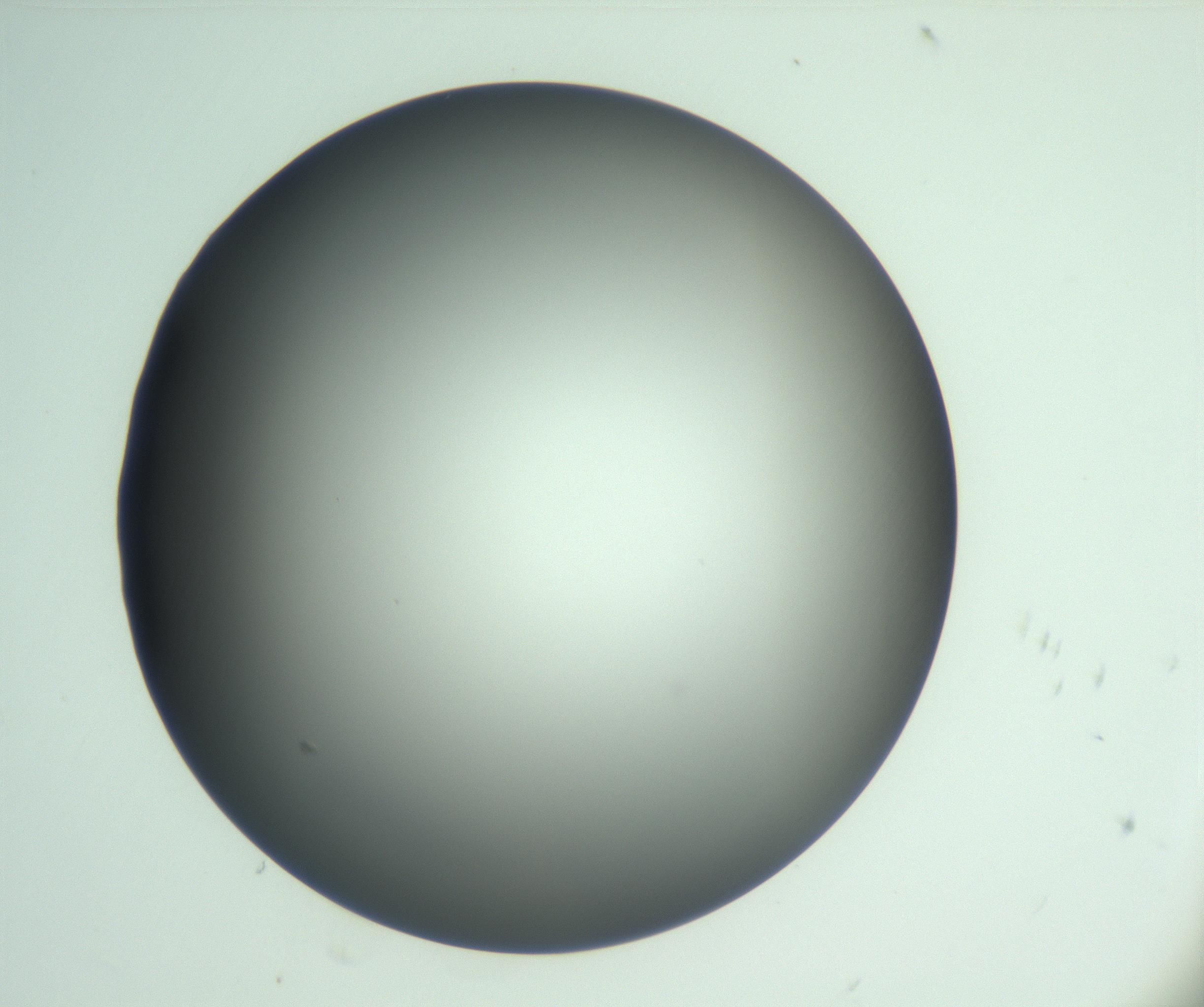 RI01_03_000_0212_Proj1_Clon1_MC_0000MC103093_004_161206_05_03_01_00_99_002_001_RAI.jpg