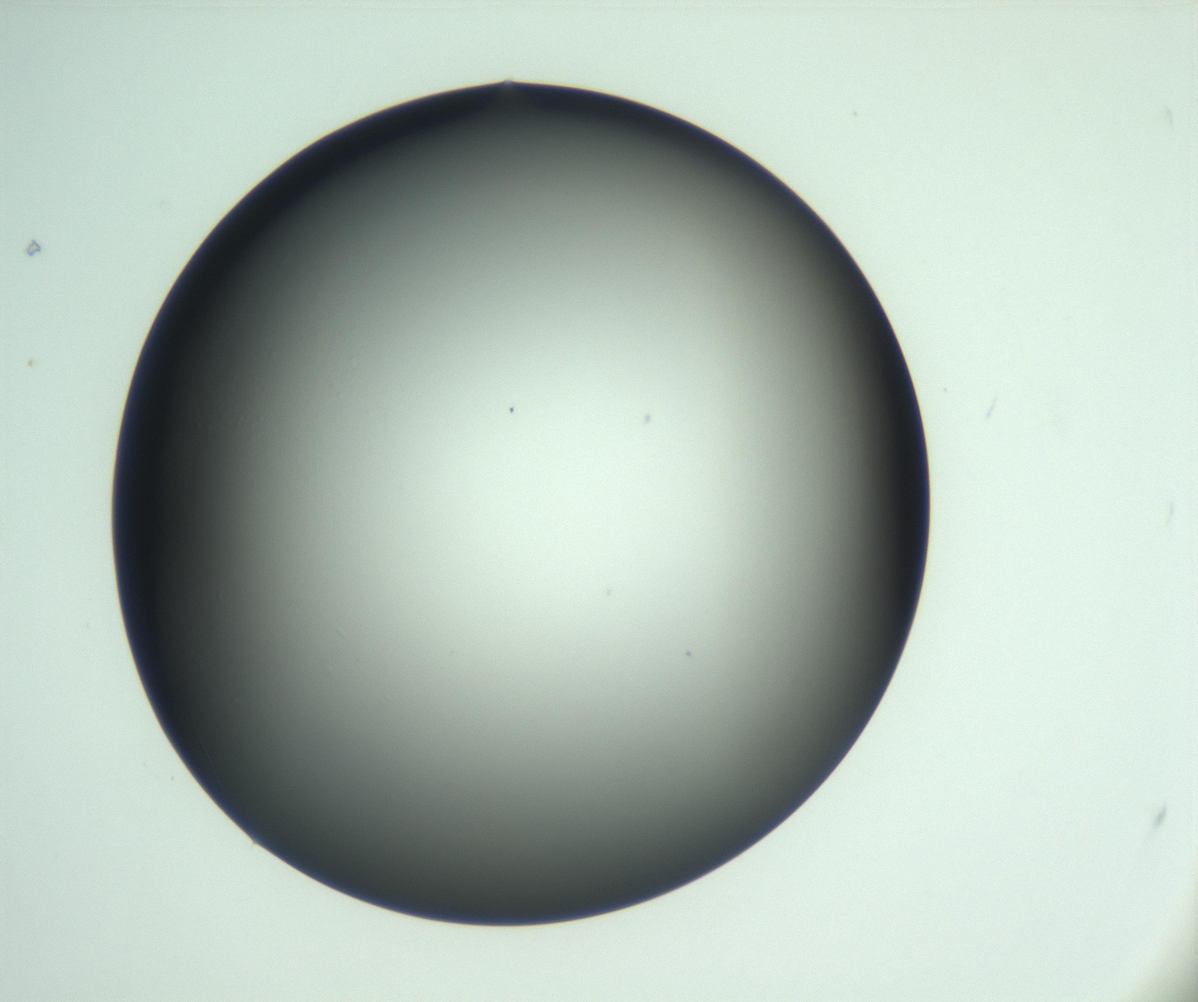 RI01_03_000_0212_Proj1_Clon1_MC_0000MC103093_004_161206_05_04_01_00_99_002_001_RAI.jpg